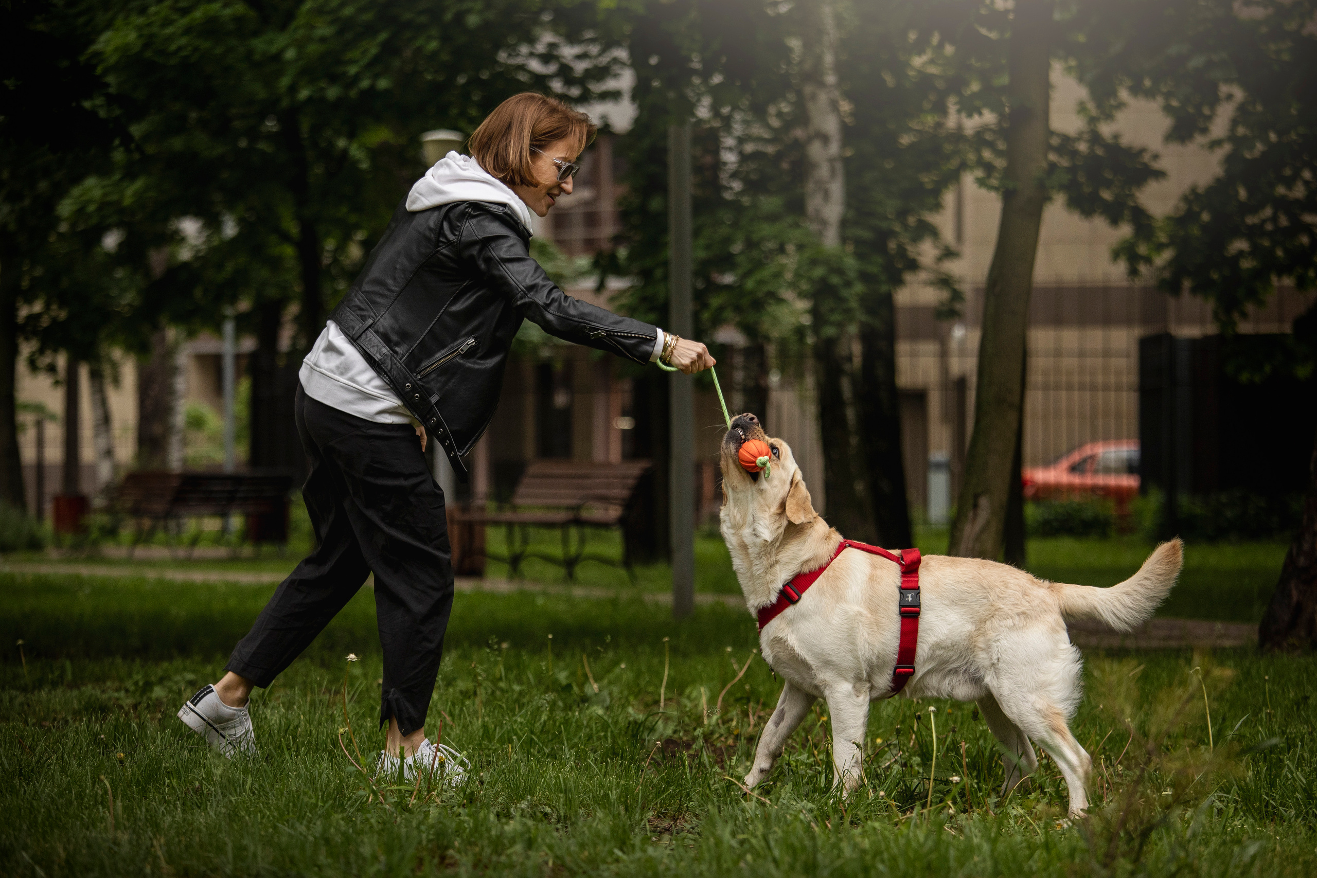Наталья и Лорд. Фотограф — Анималист | Санкт-Петербург