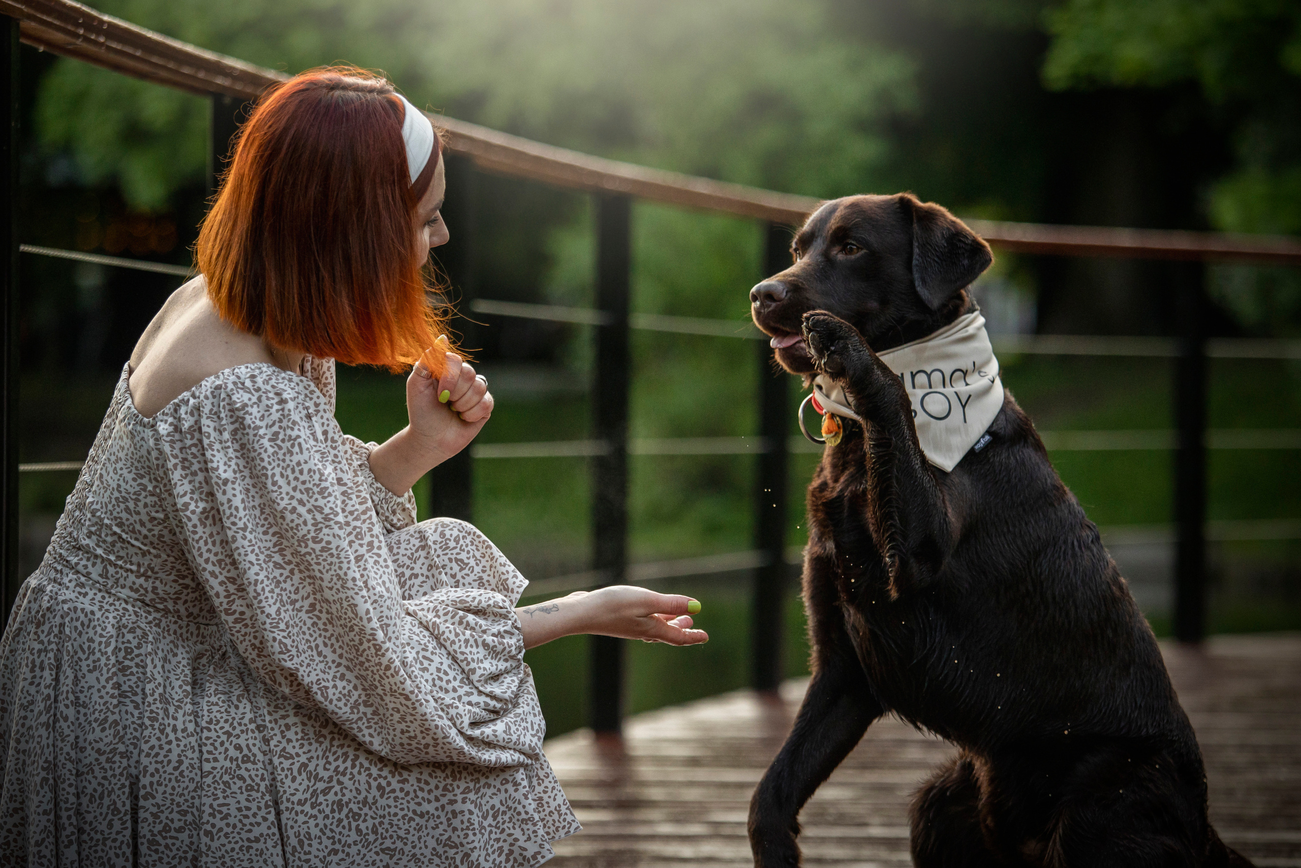 Арина и Сэмми. Фотограф — Анималист | Санкт-Петербург