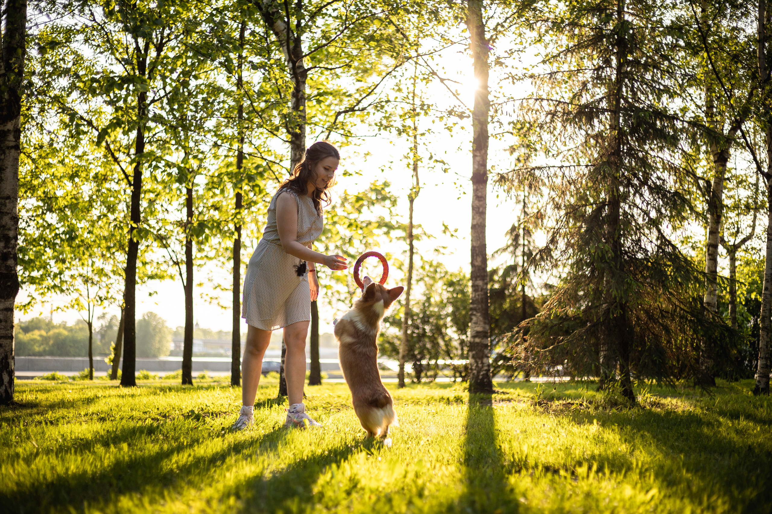 Настя и Стич. Фотограф — Анималист | Санкт-Петербург