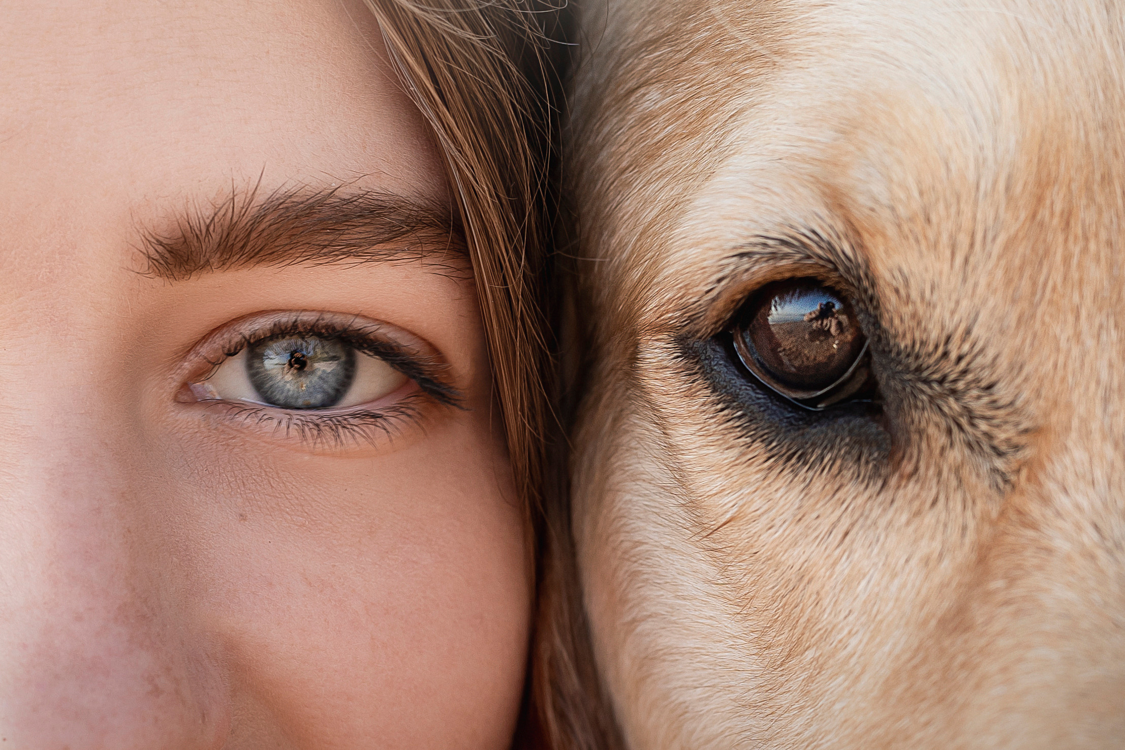 Марина и Чили. Фотограф — Анималист | Санкт-Петербург