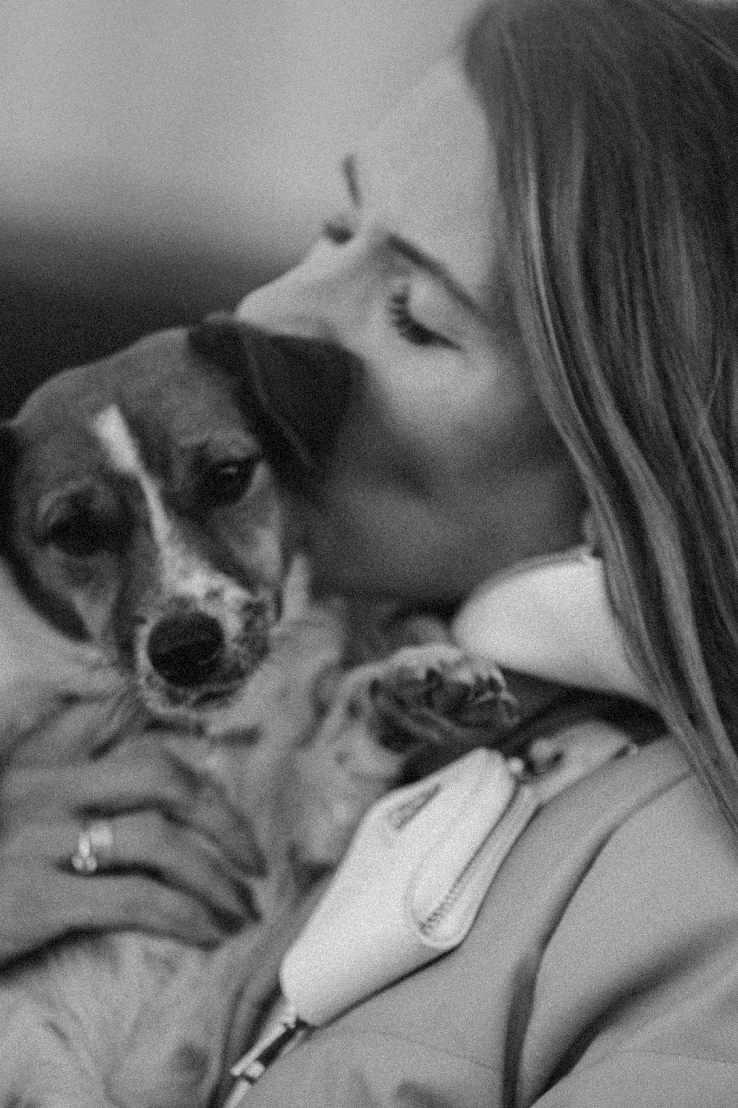 Лиза и Грета. Фотограф — Анималист | Санкт-Петербург