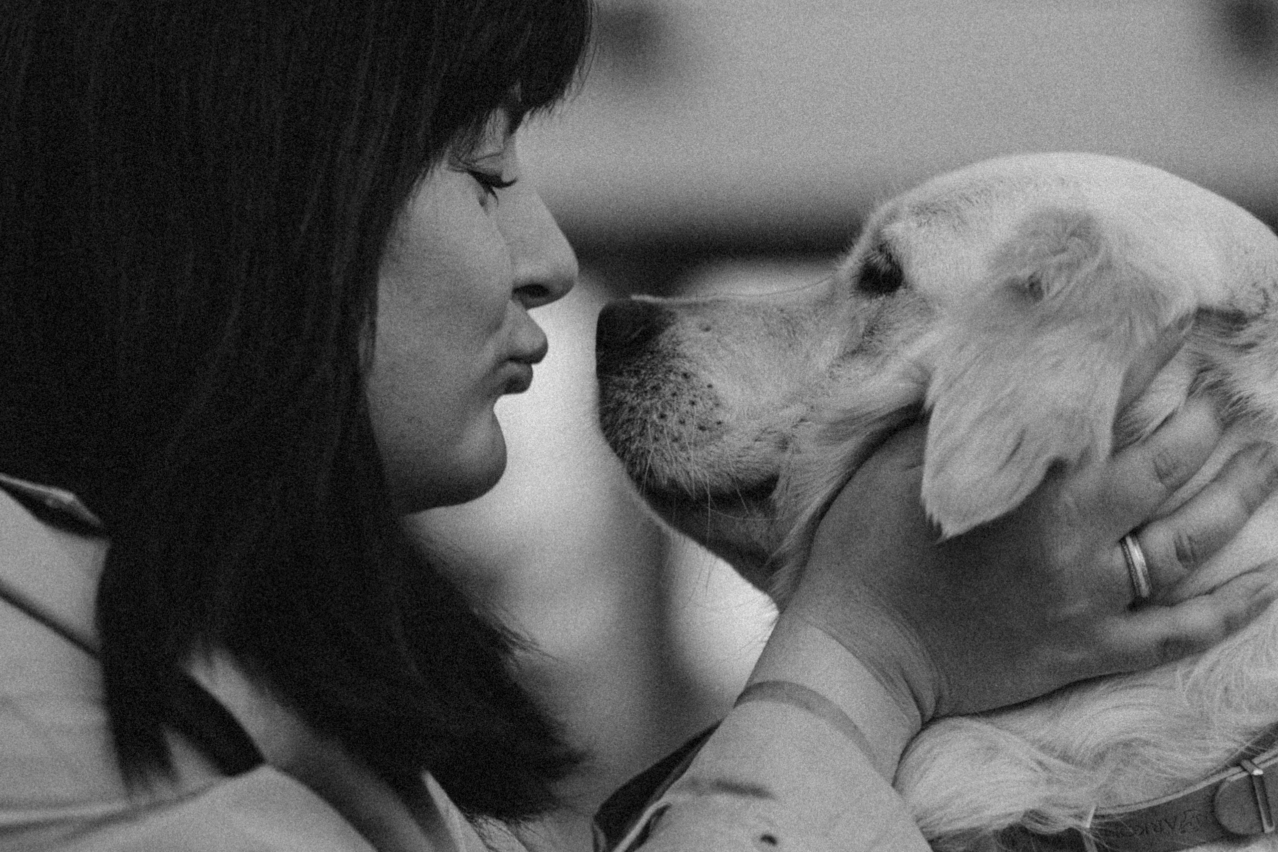 Молли и ее семья. Фотограф — Анималист | Санкт-Петербург