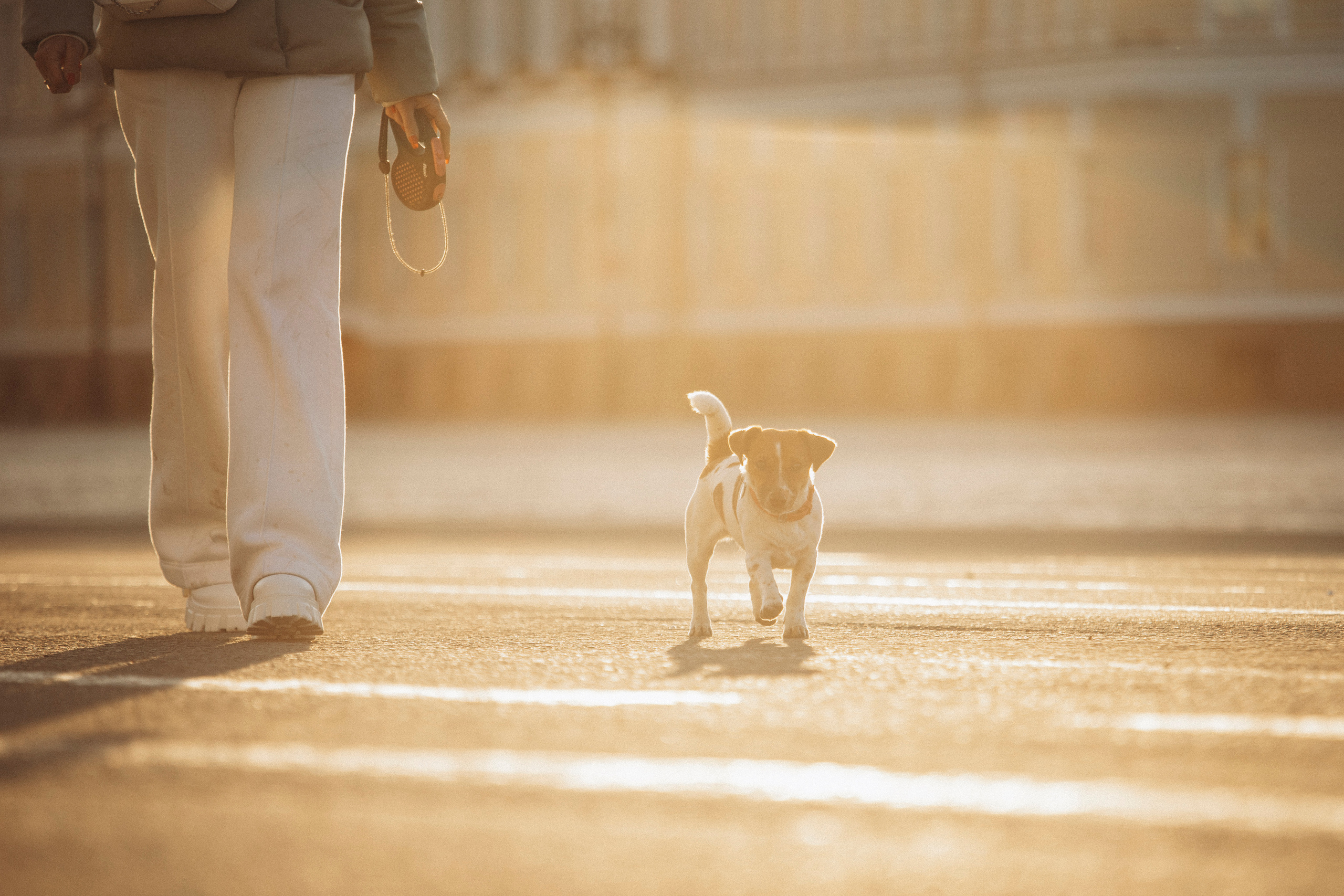 Лиза и Грета. Фотограф — Анималист | Санкт-Петербург