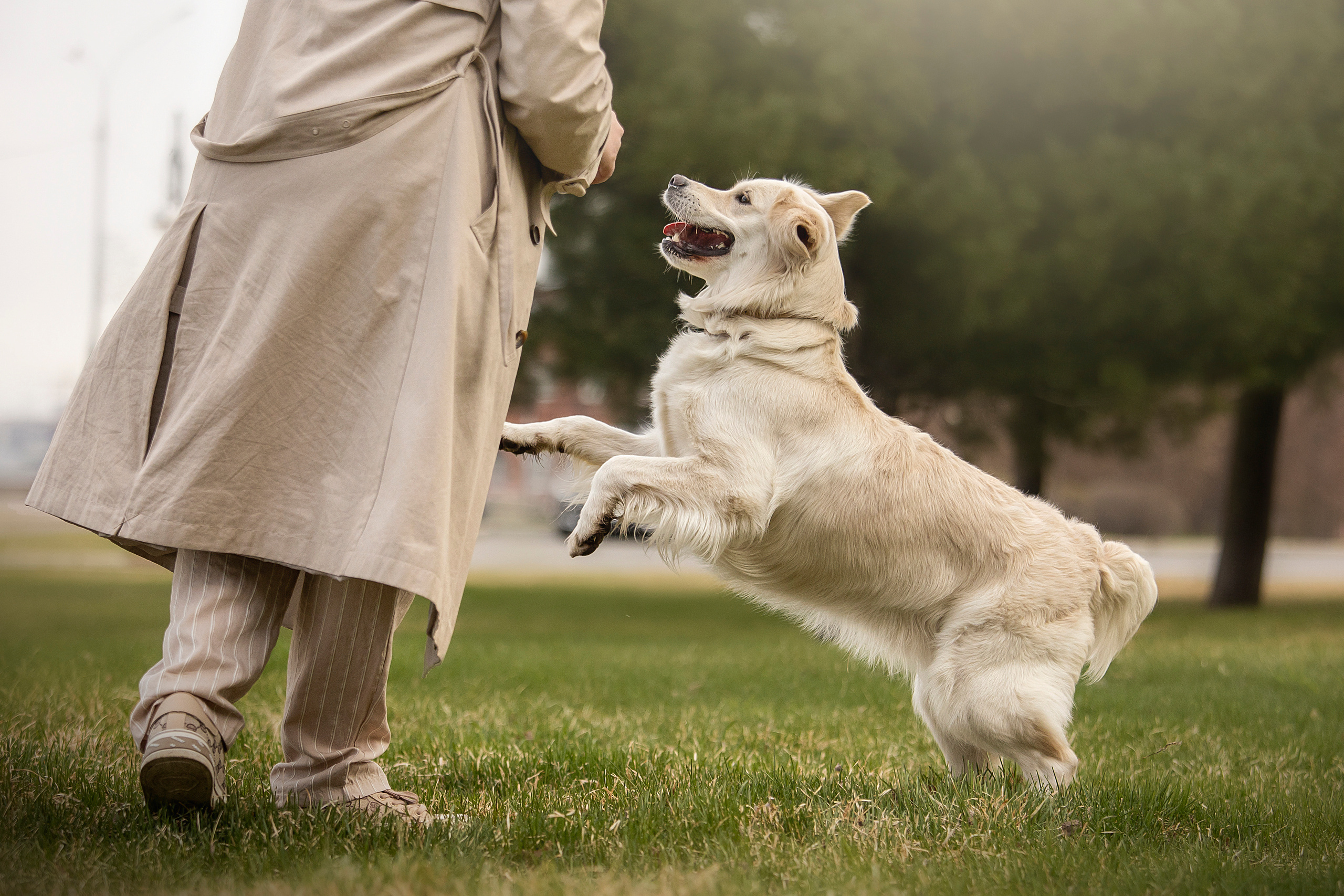 Молли и ее семья. Фотограф — Анималист | Санкт-Петербург