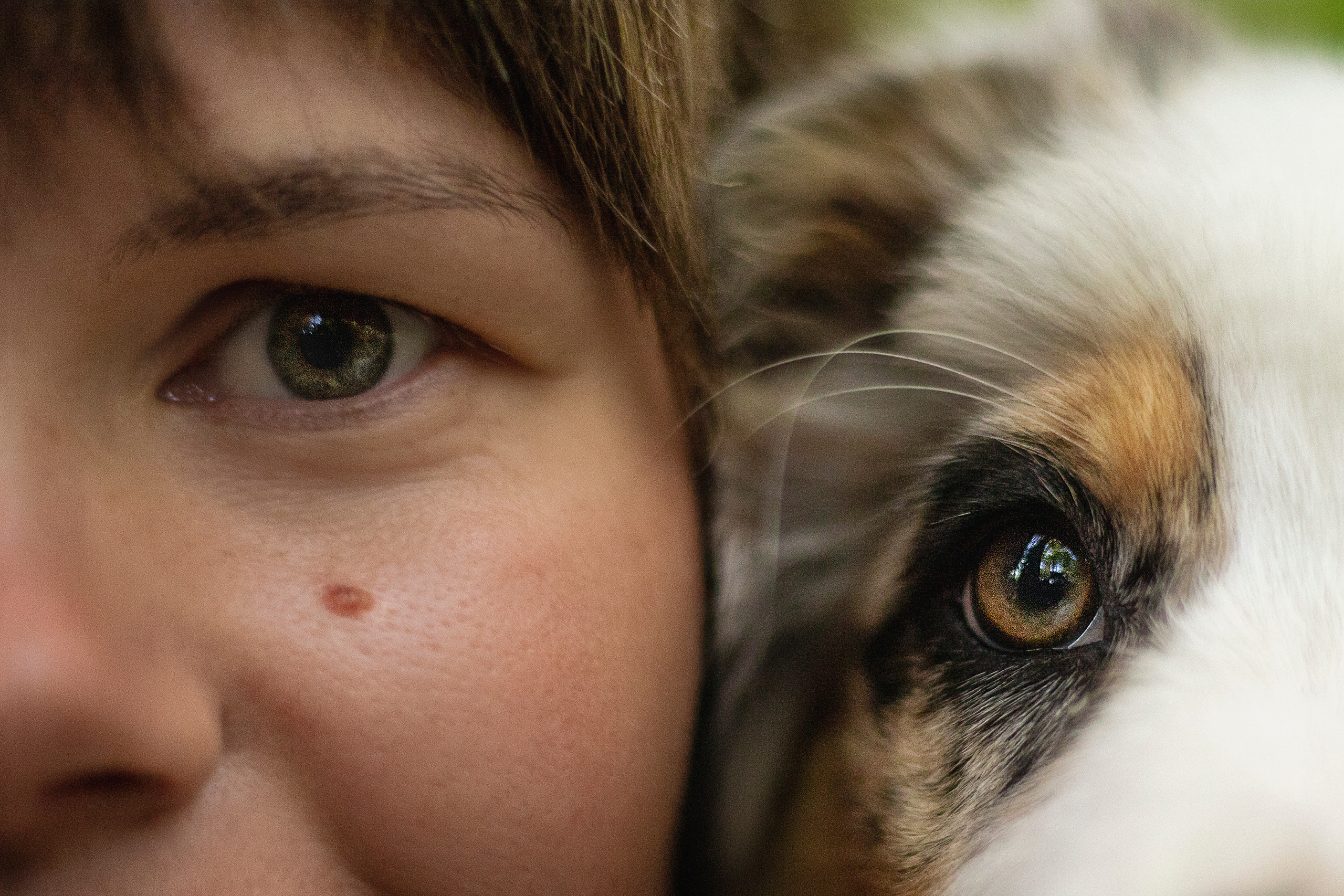 Ирина и Кайса. Фотограф — Анималист | Санкт-Петербург