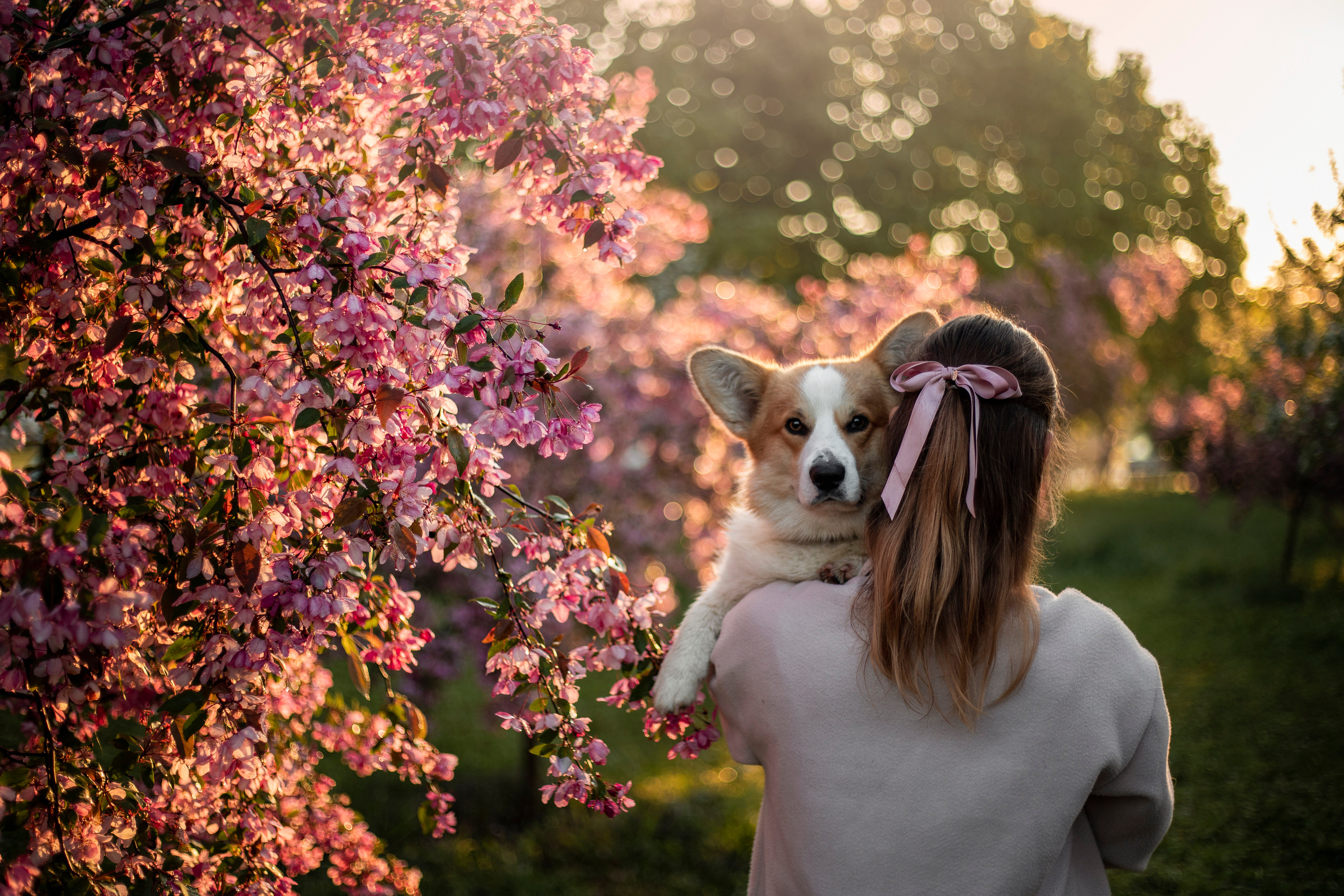 Юля и Лео. Фотограф — Анималист | Санкт-Петербург