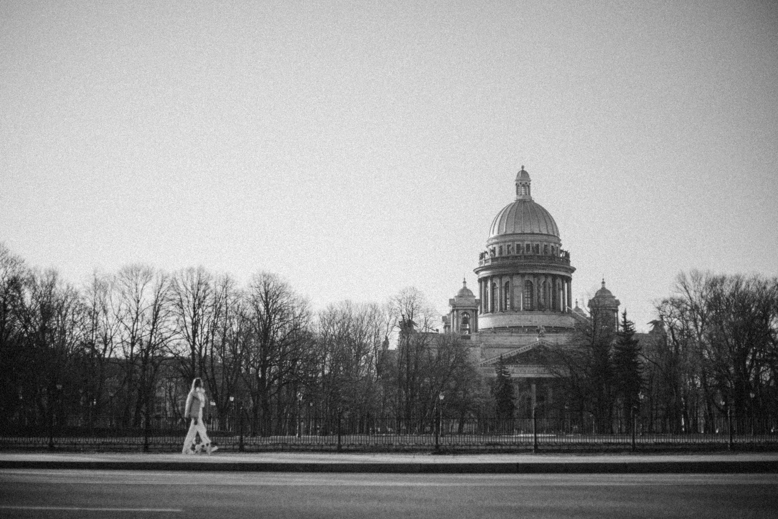 Лиза и Грета. Фотограф — Анималист | Санкт-Петербург