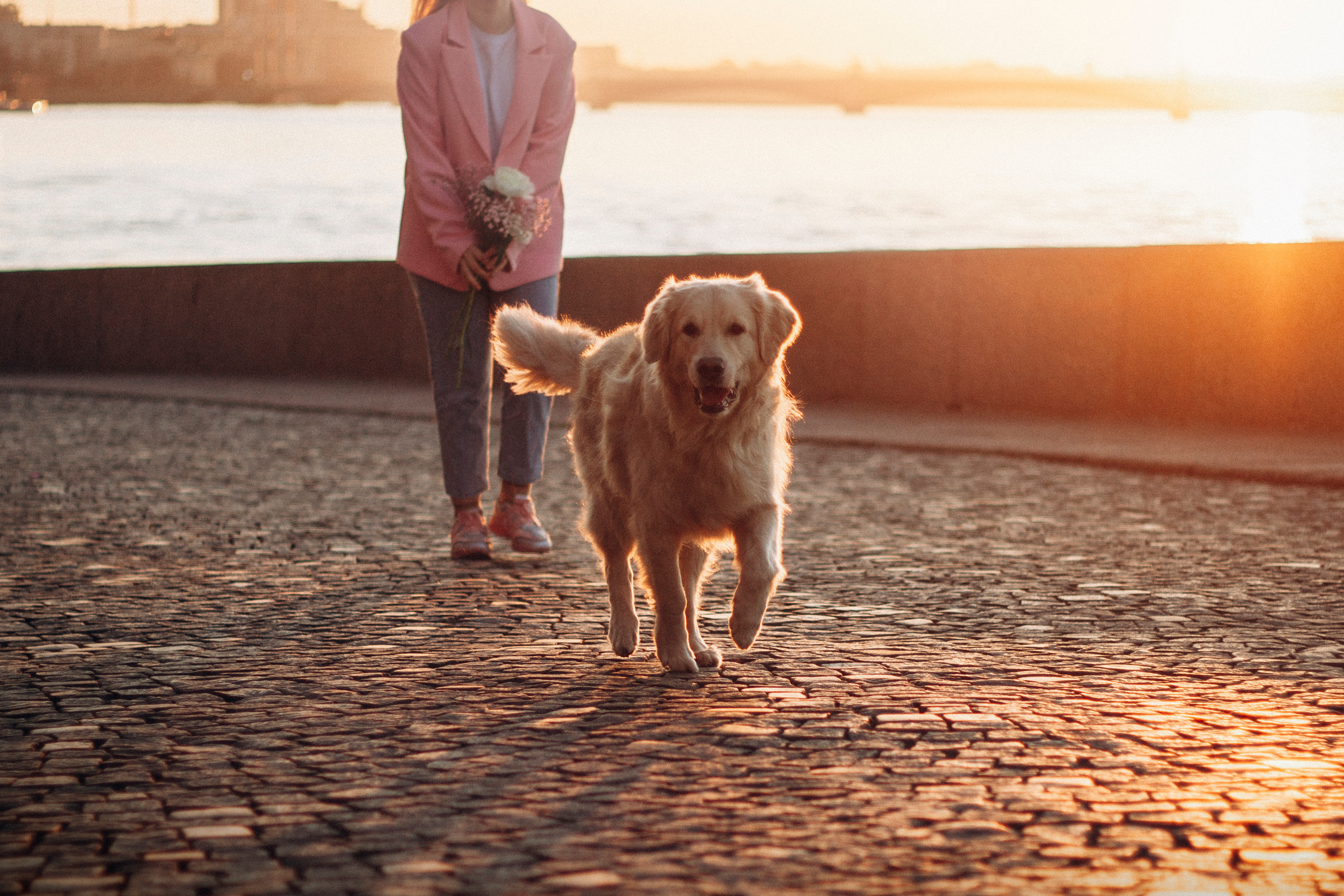 Настя и Марси. Фотограф — Анималист | Санкт-Петербург