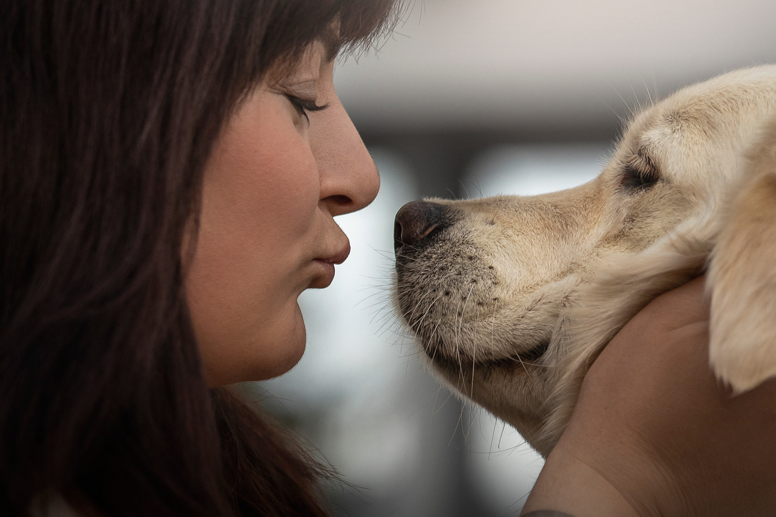 Молли и ее семья. Фотограф — Анималист | Санкт-Петербург