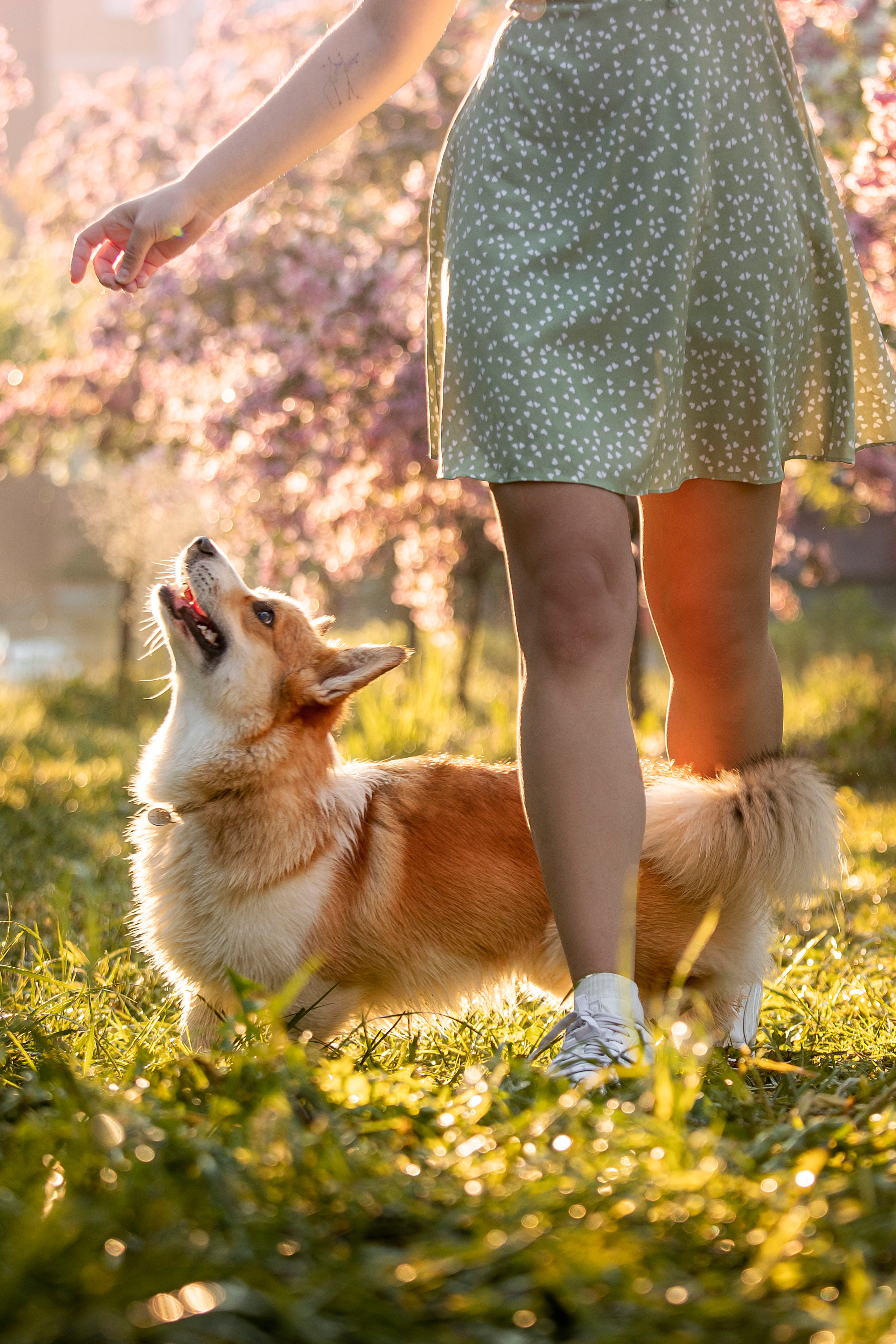 Юля и Лео. Фотограф — Анималист | Санкт-Петербург