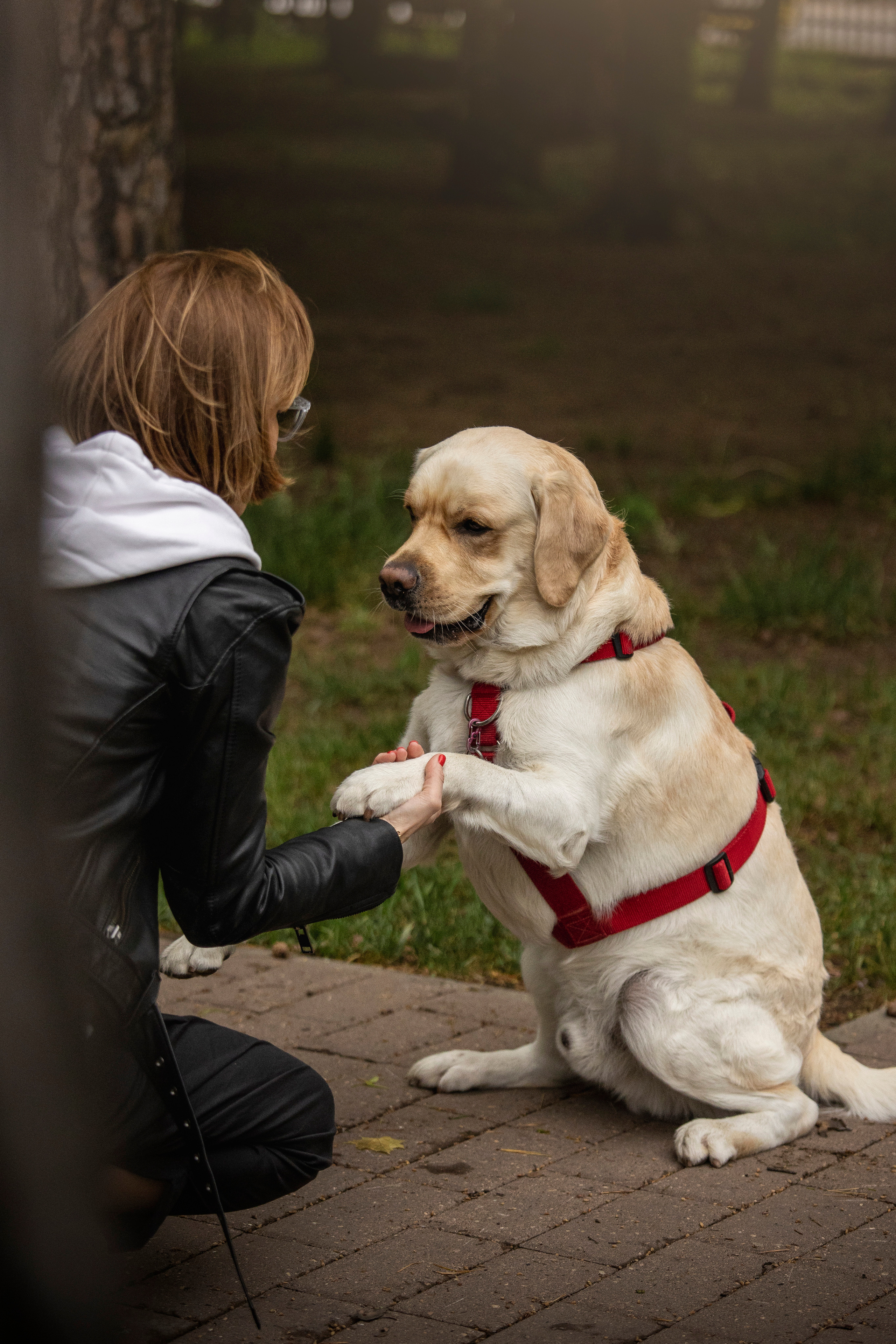 Наталья и Лорд. Фотограф — Анималист | Санкт-Петербург