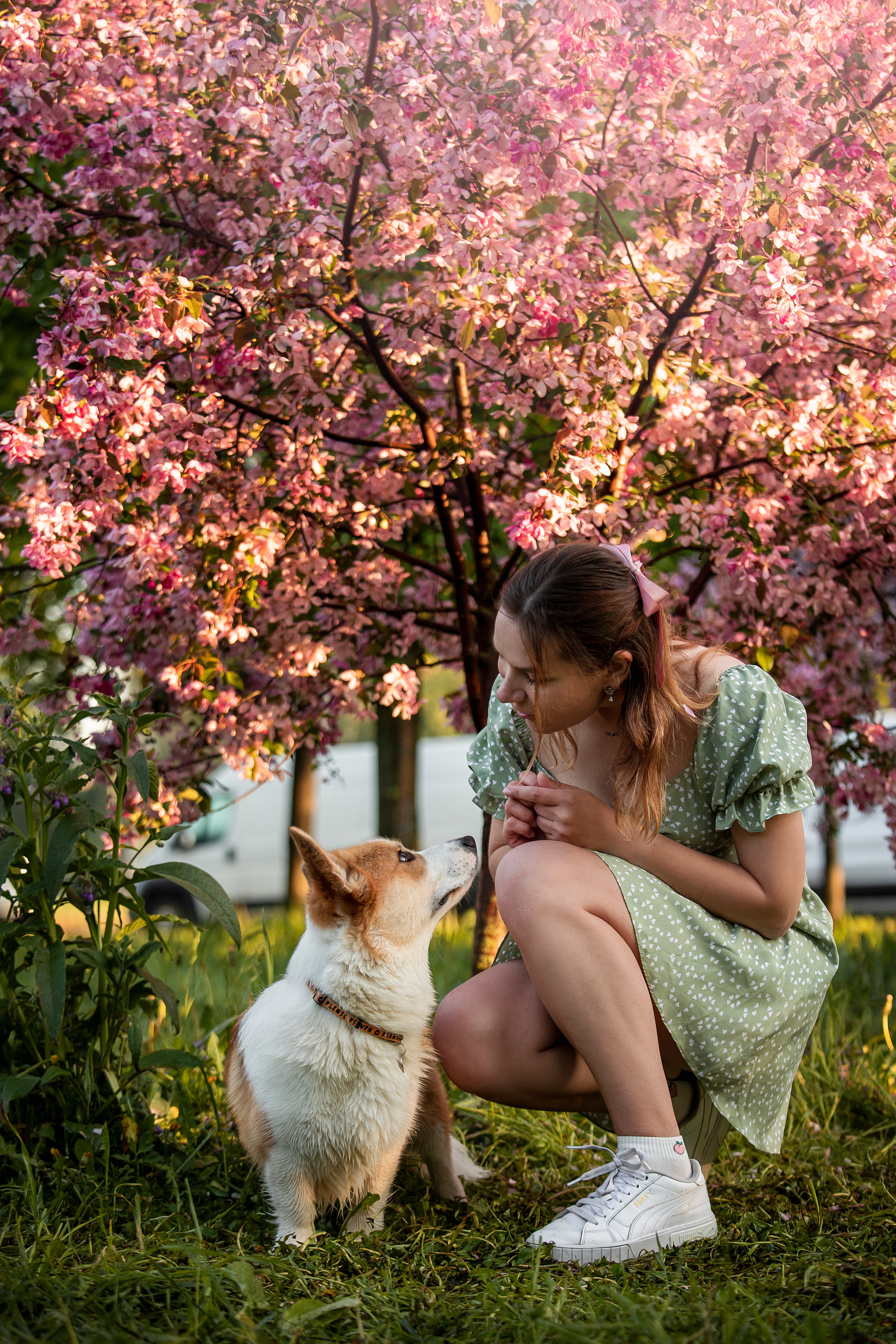 Юля и Лео. Фотограф — Анималист | Санкт-Петербург