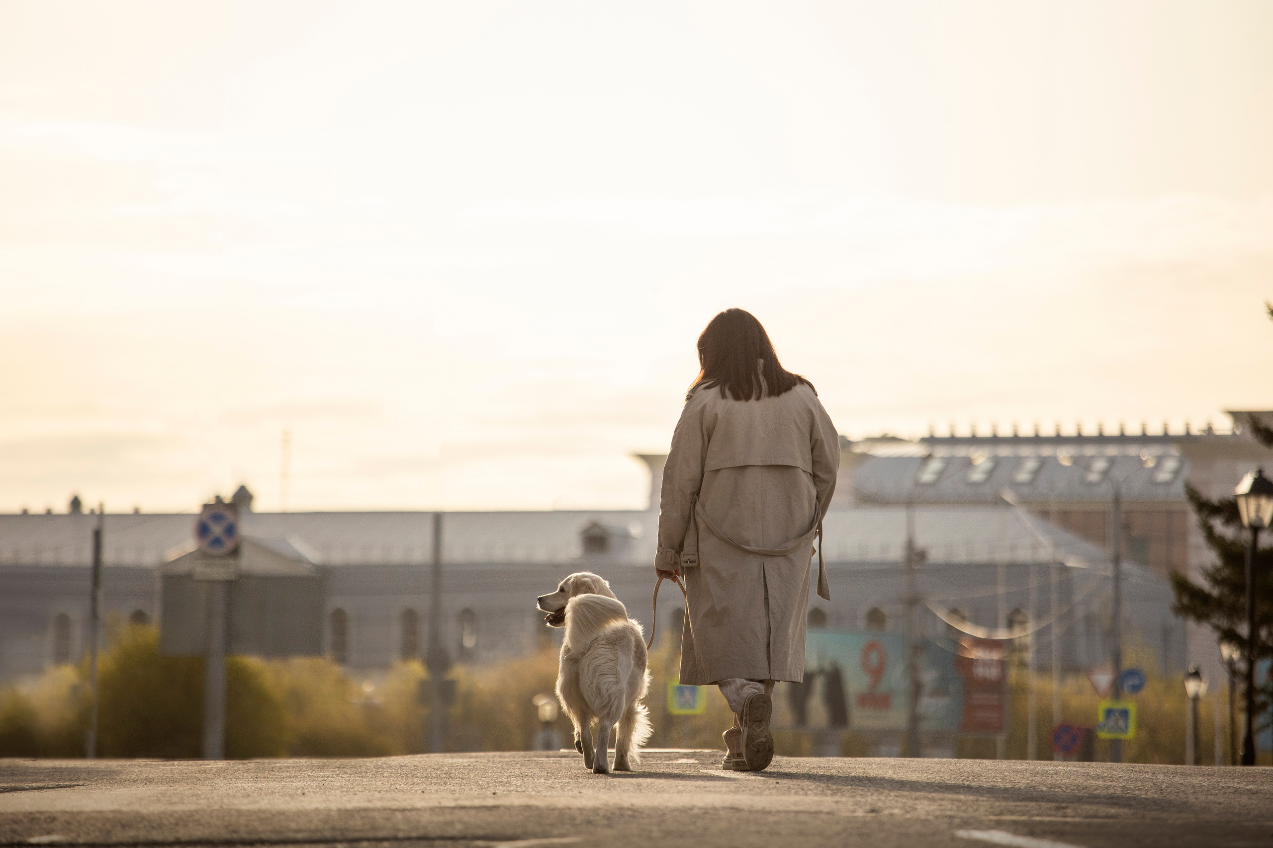 Молли и ее семья. Фотограф — Анималист | Санкт-Петербург