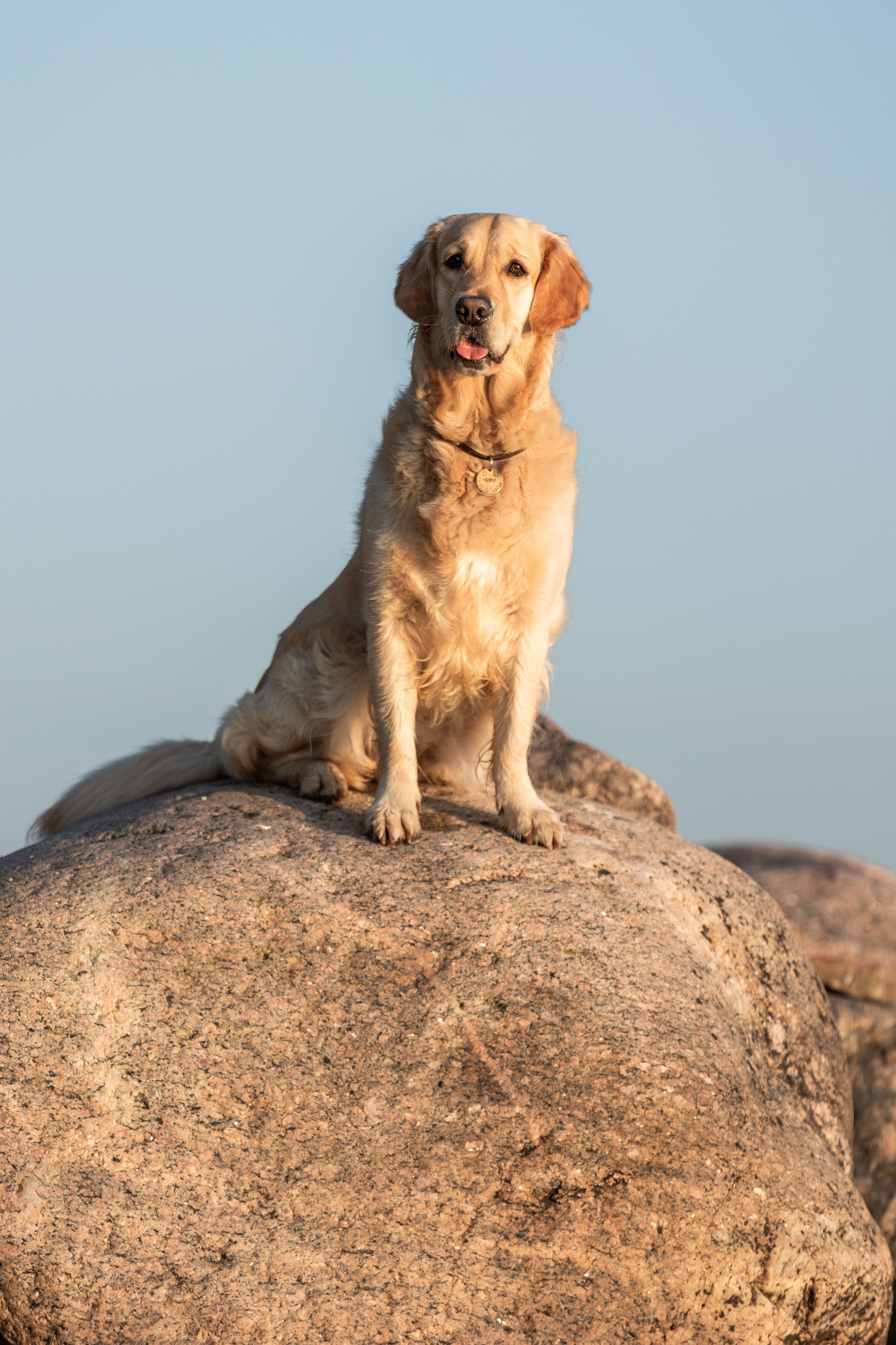 Марина и Чили. Фотограф — Анималист | Санкт-Петербург