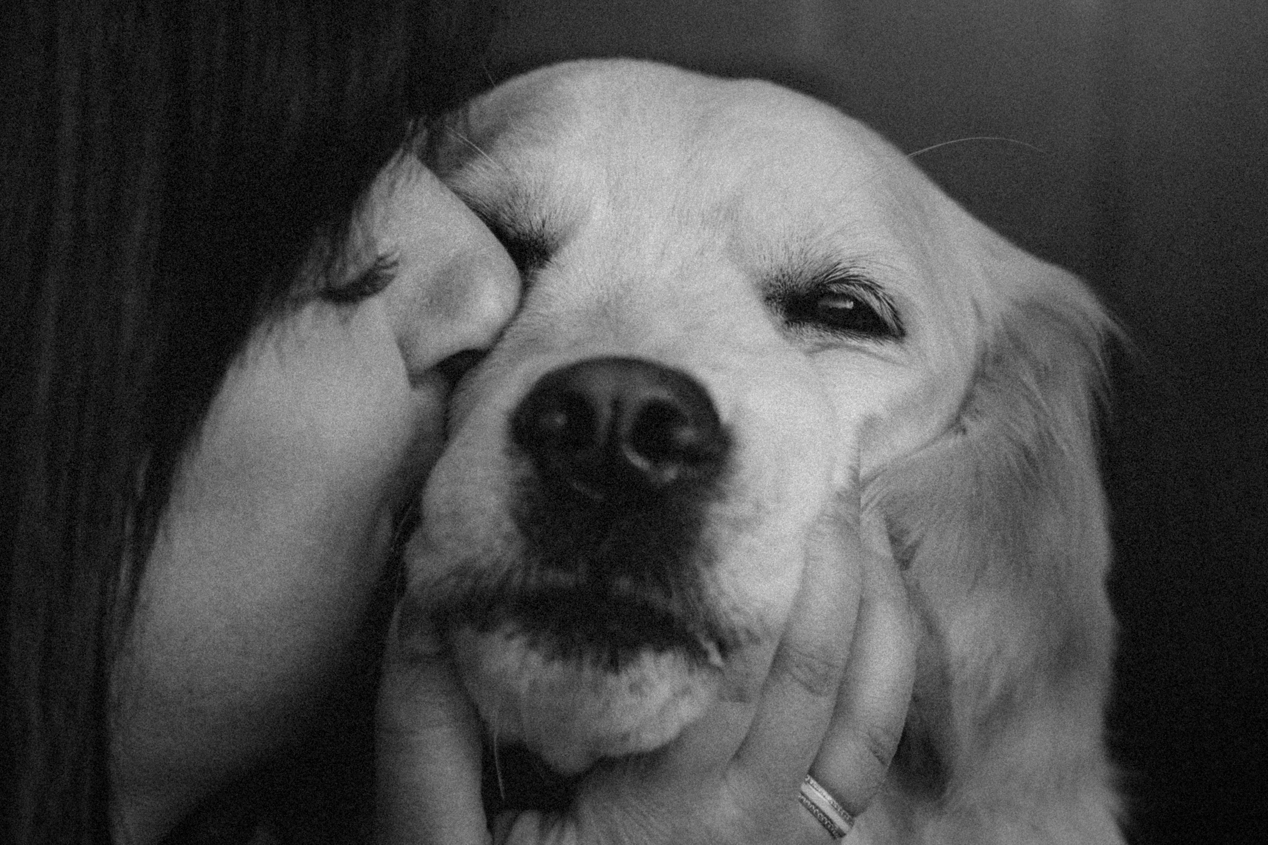 Молли и ее семья. Фотограф — Анималист | Санкт-Петербург