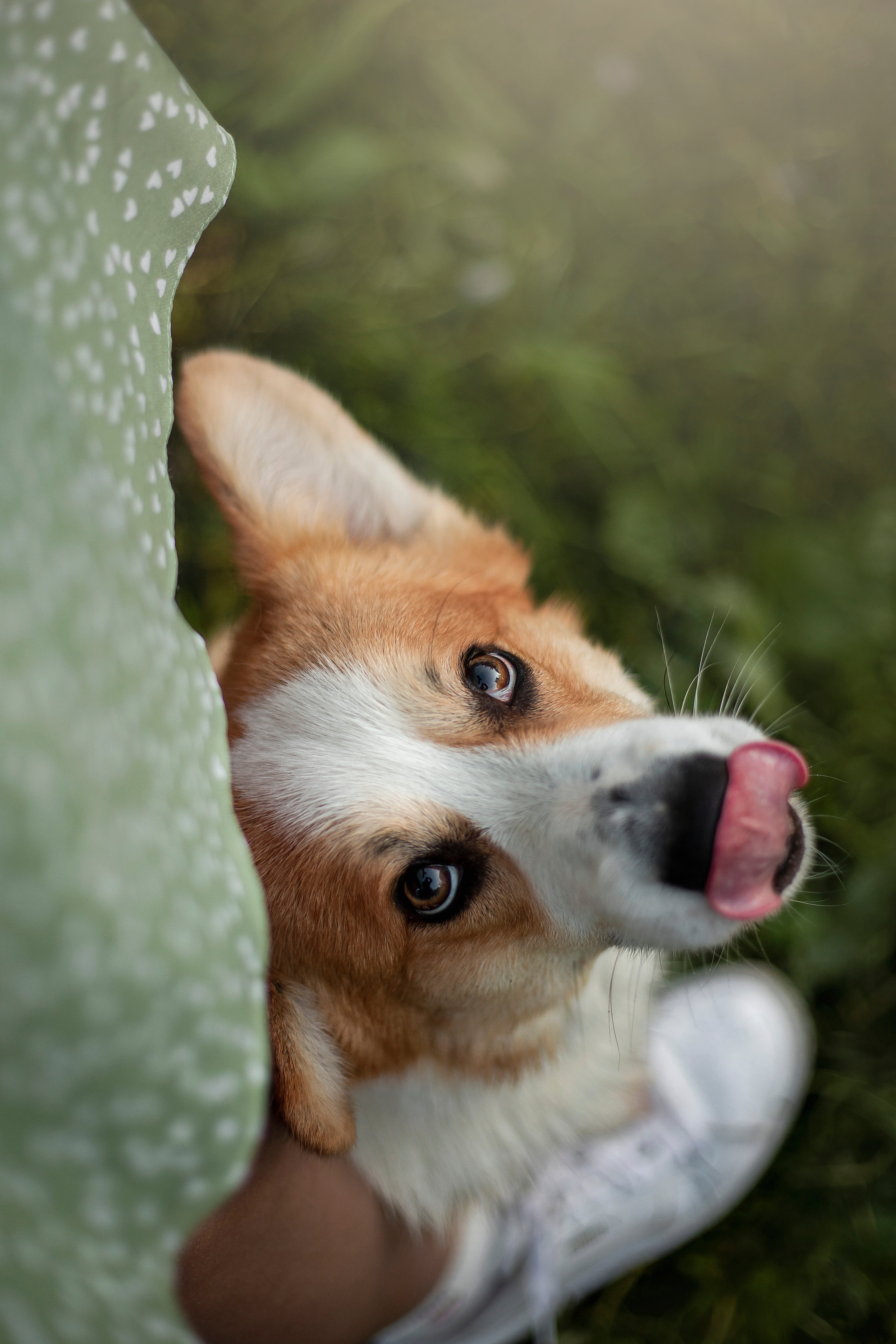 Юля и Лео. Фотограф — Анималист | Санкт-Петербург