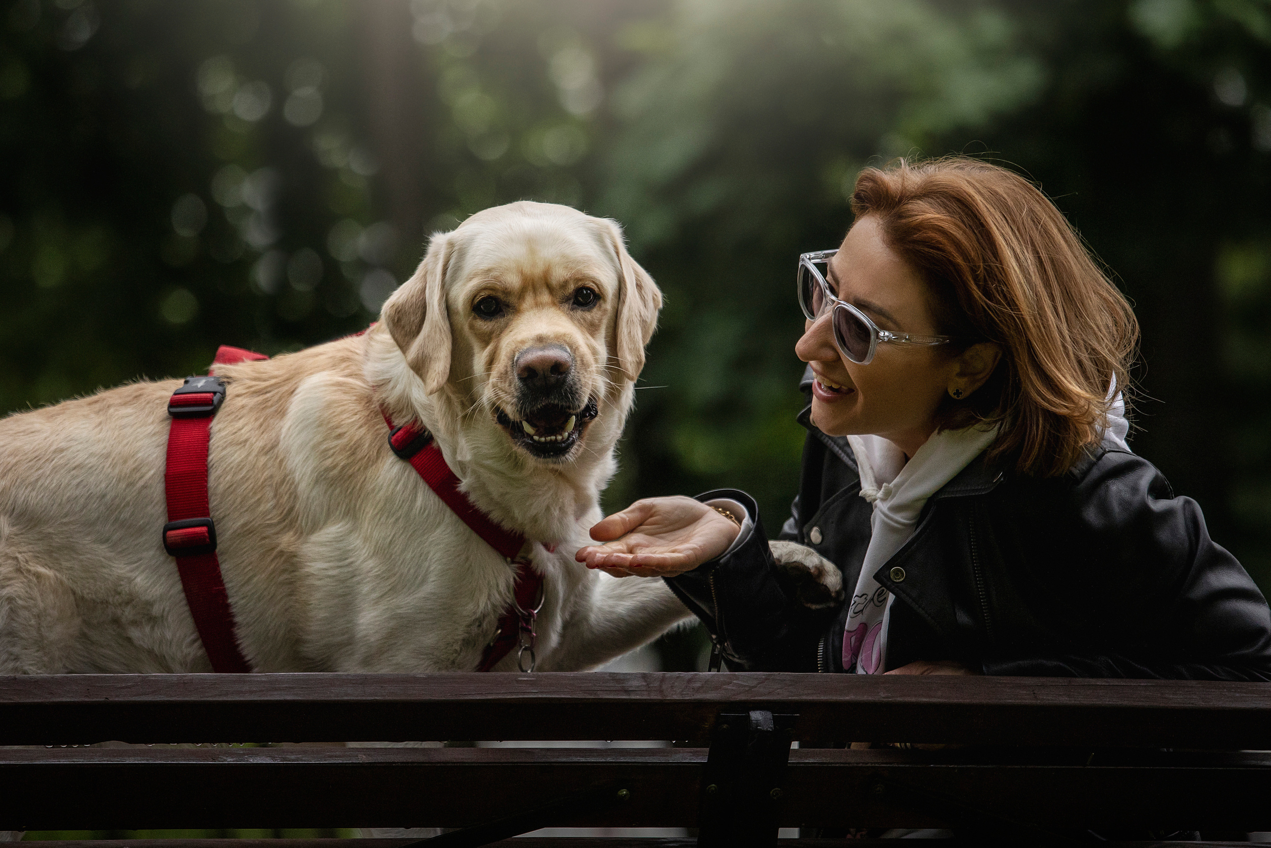Наталья и Лорд. Фотограф — Анималист | Санкт-Петербург