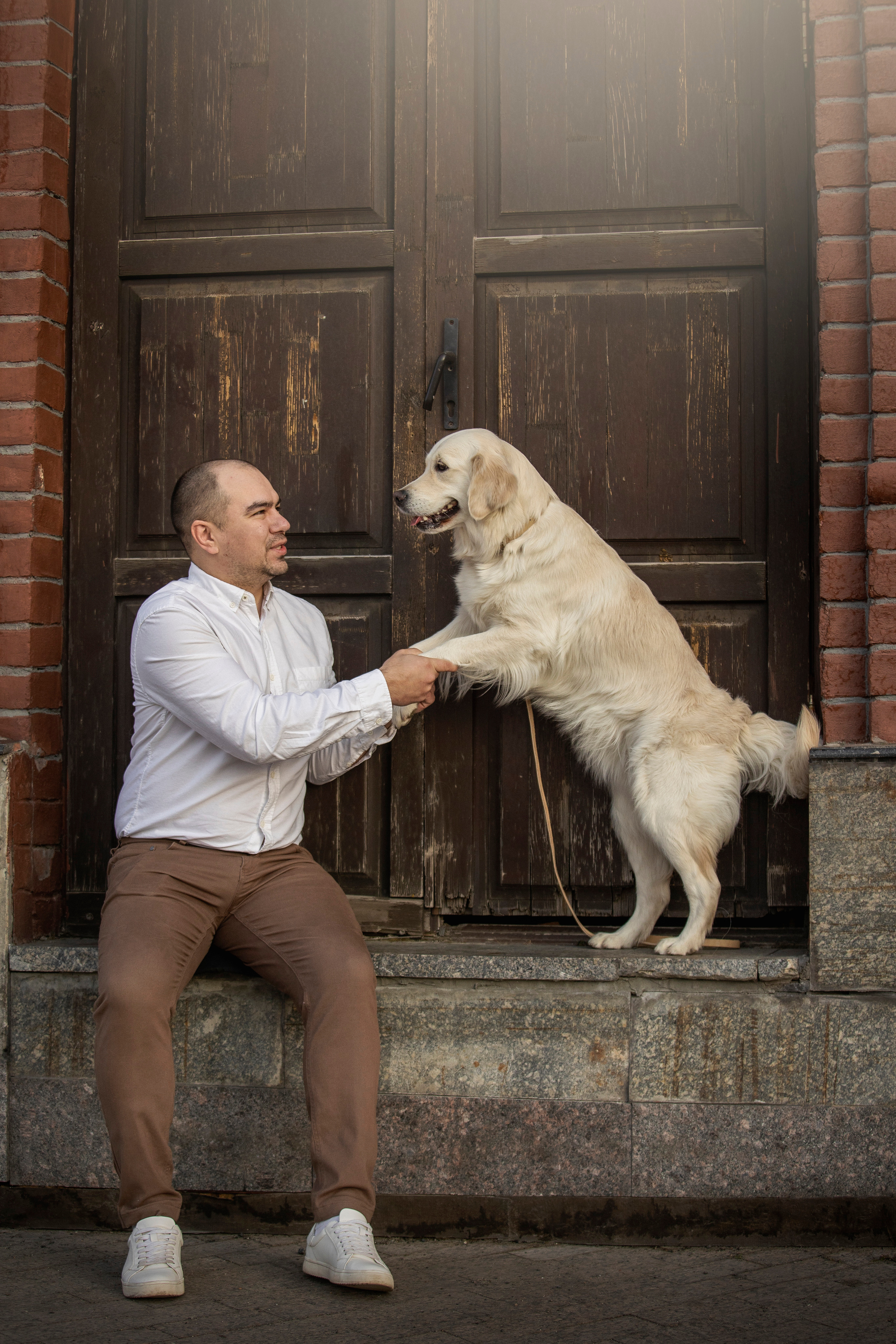 Молли и ее семья. Фотограф — Анималист | Санкт-Петербург