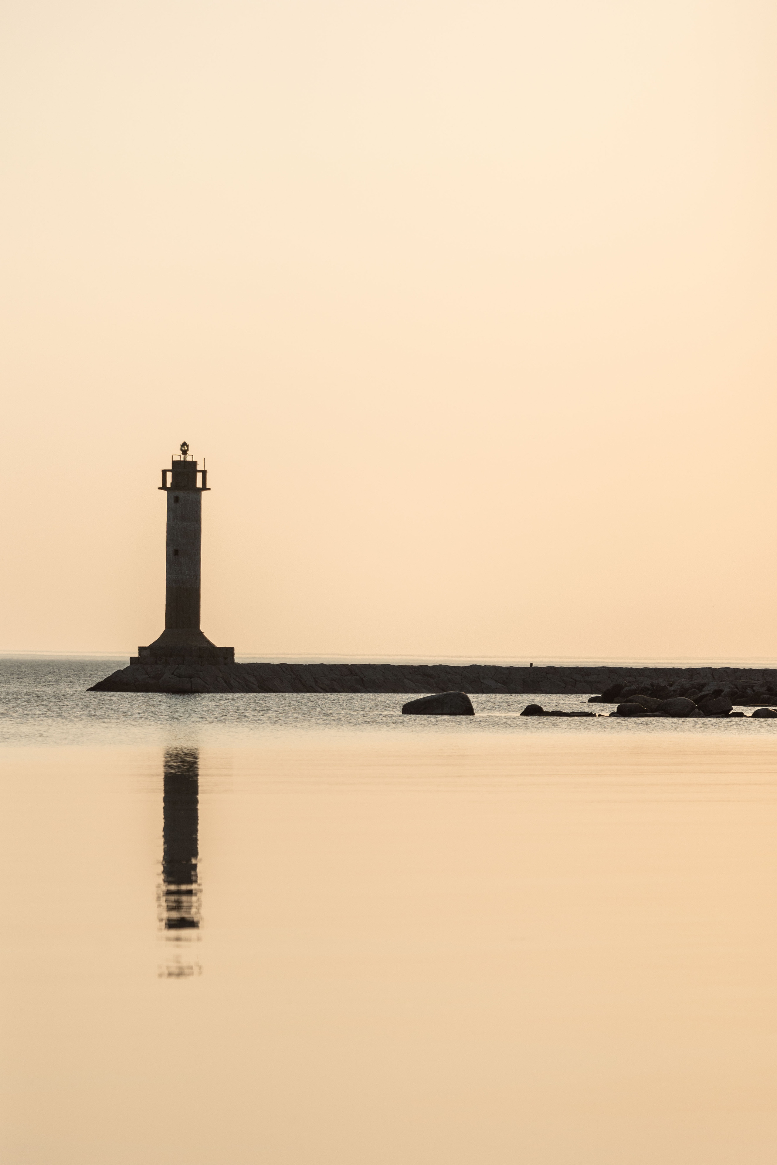 Марина и Чили. Фотограф — Анималист | Санкт-Петербург