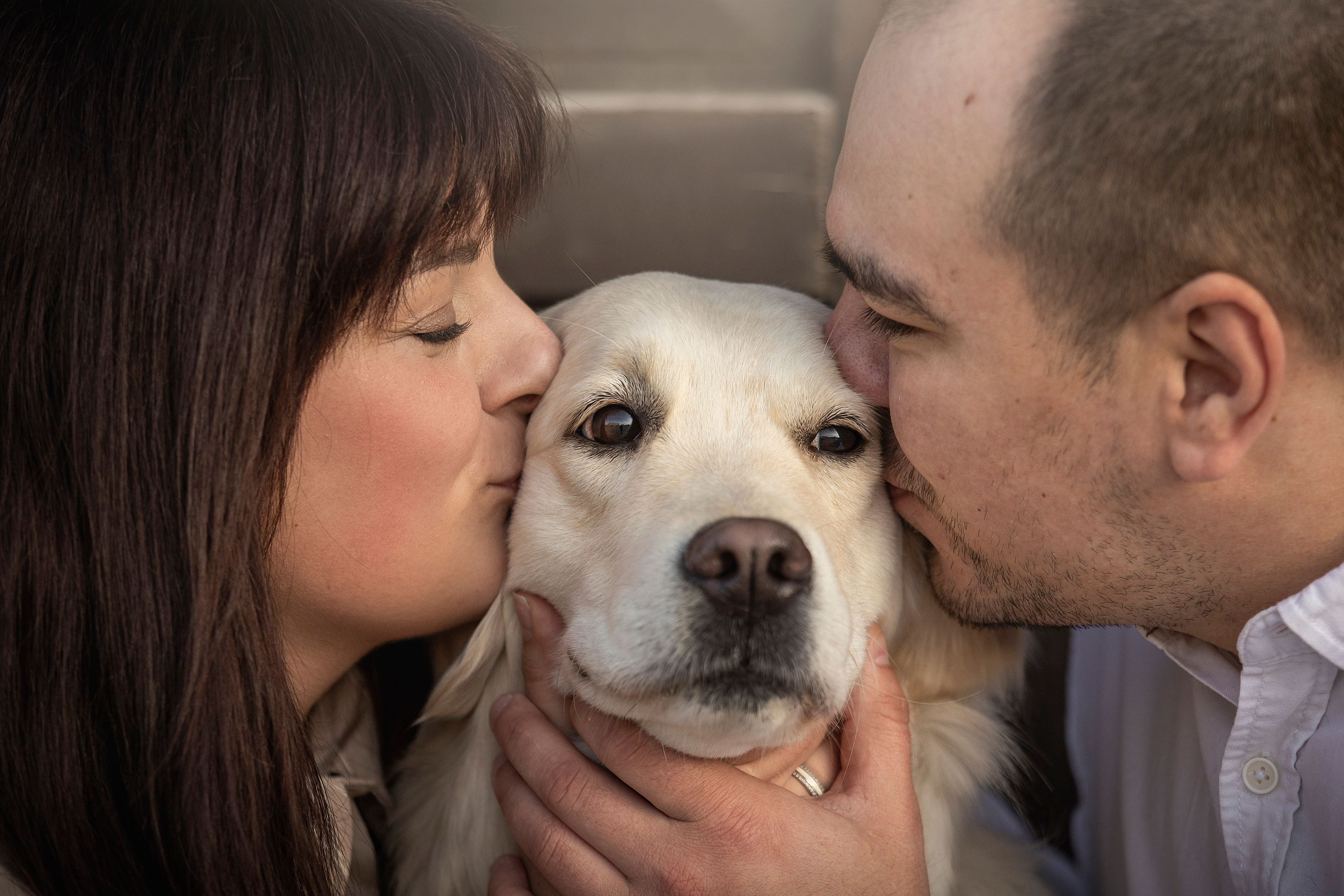 Молли и ее семья. Фотограф — Анималист | Санкт-Петербург