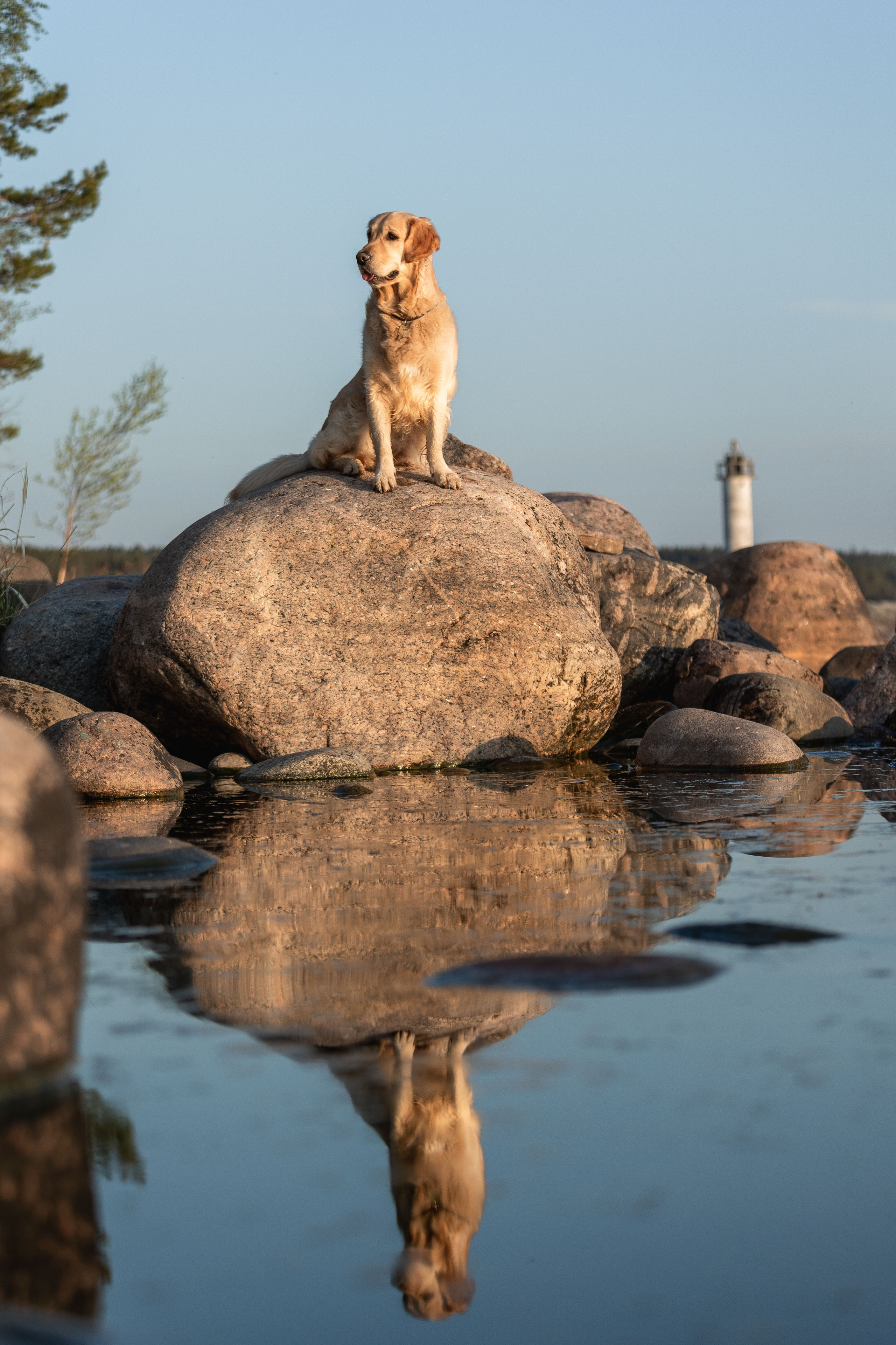 Марина и Чили. Фотограф — Анималист | Санкт-Петербург