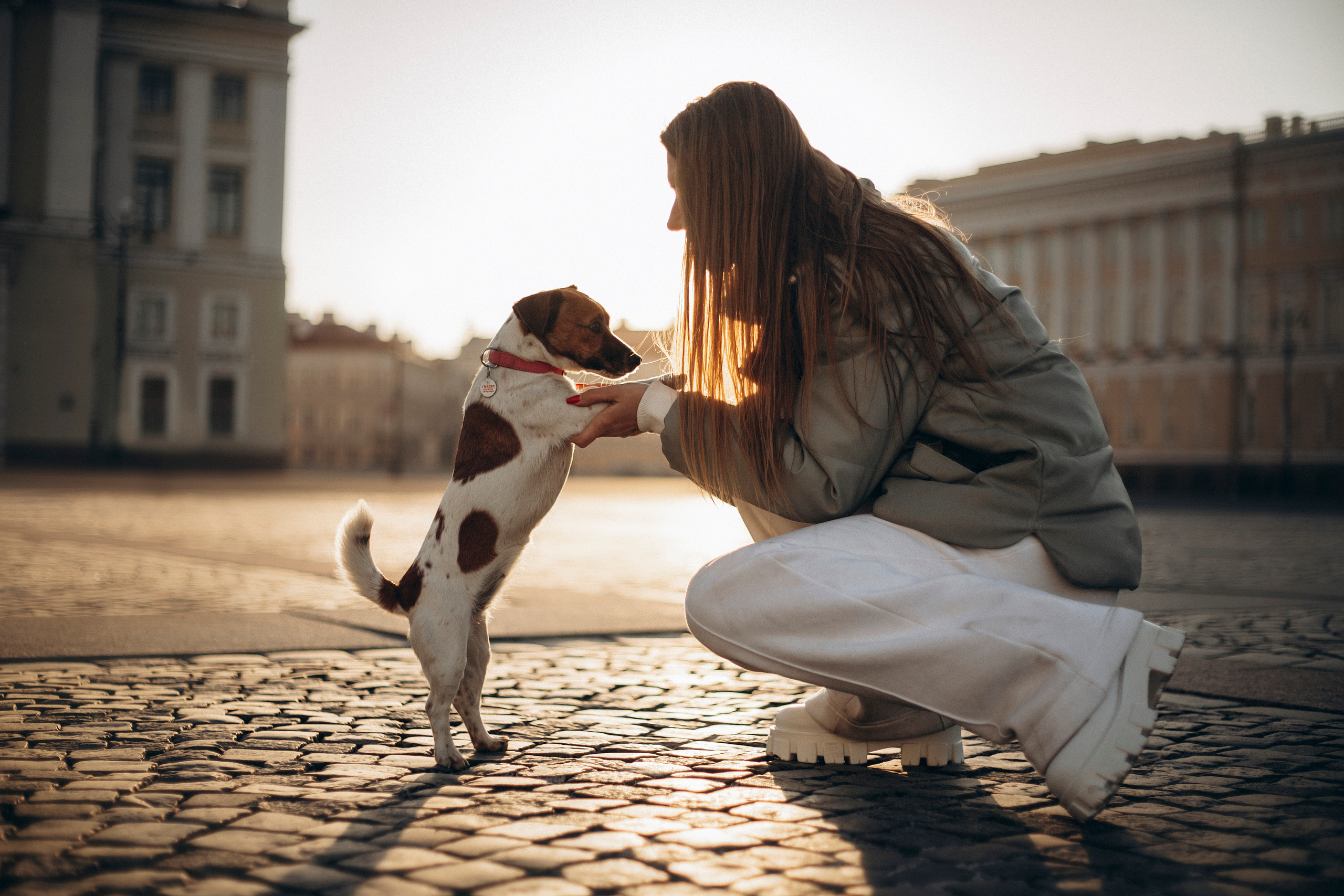 Лиза и Грета. Фотограф — Анималист | Санкт-Петербург