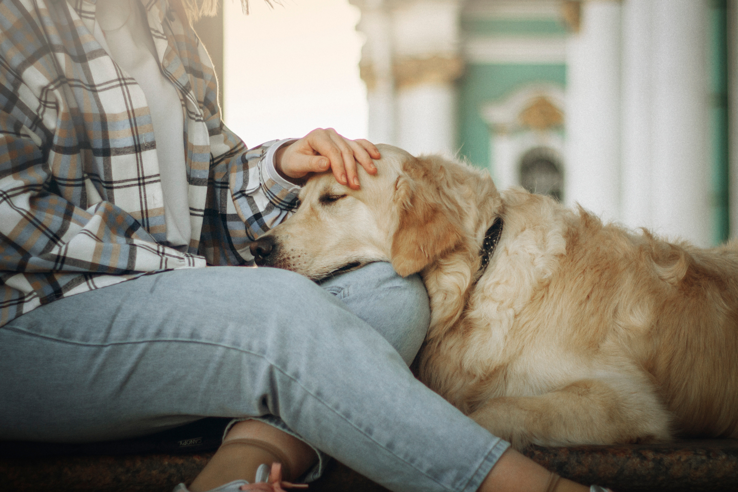 Настя и Марси. Фотограф — Анималист | Санкт-Петербург