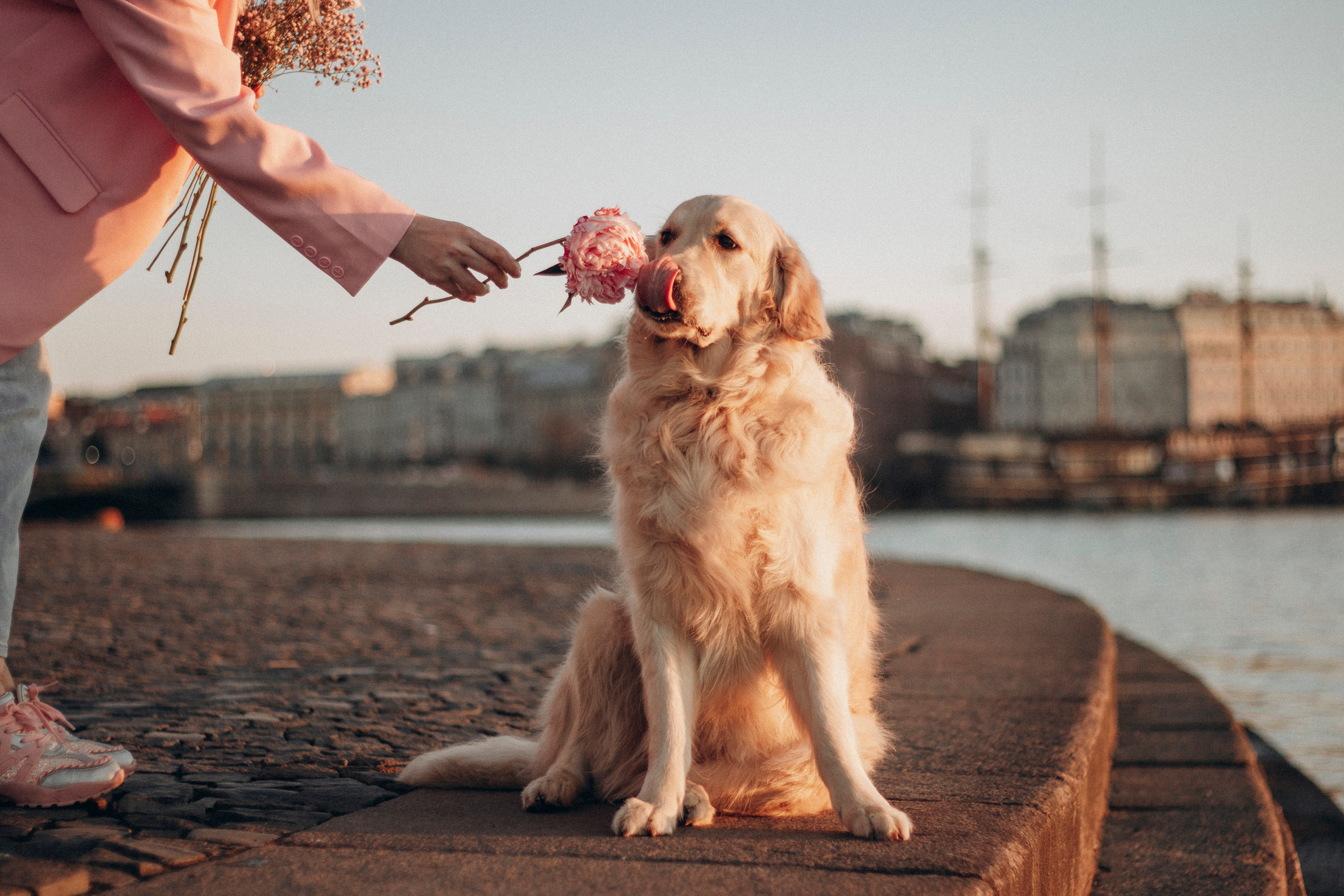 Настя и Марси. Фотограф — Анималист | Санкт-Петербург