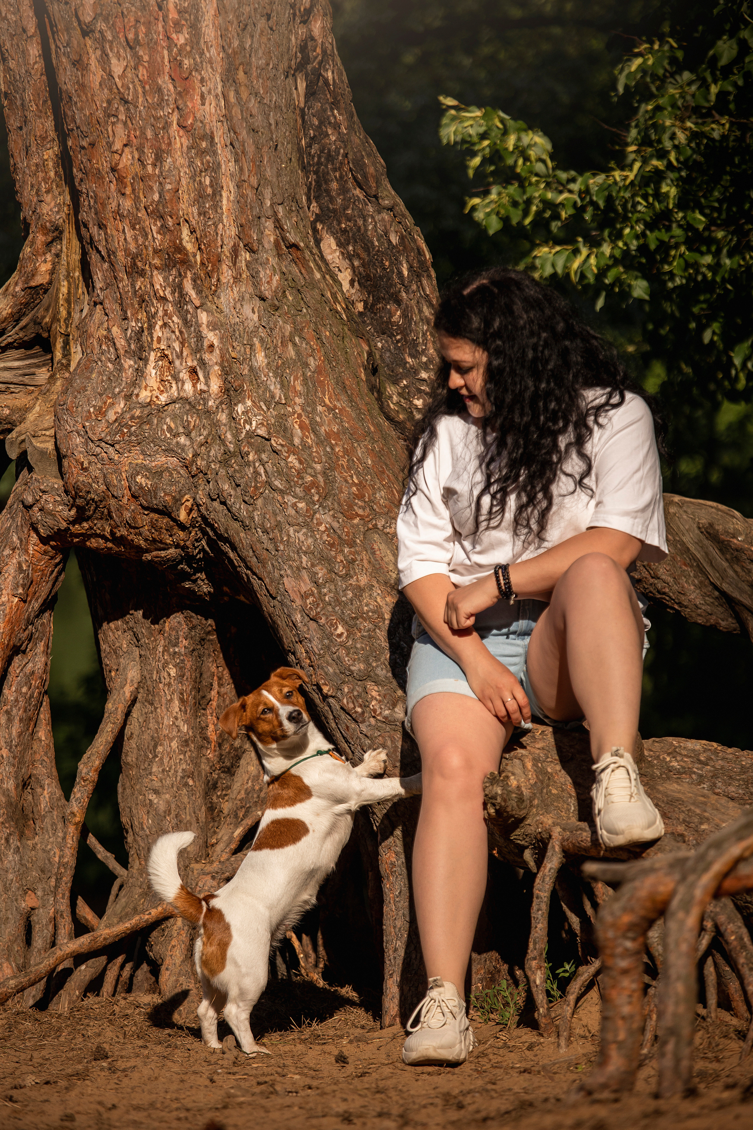 Наташа и Мерси. Фотограф — Анималист | Санкт-Петербург