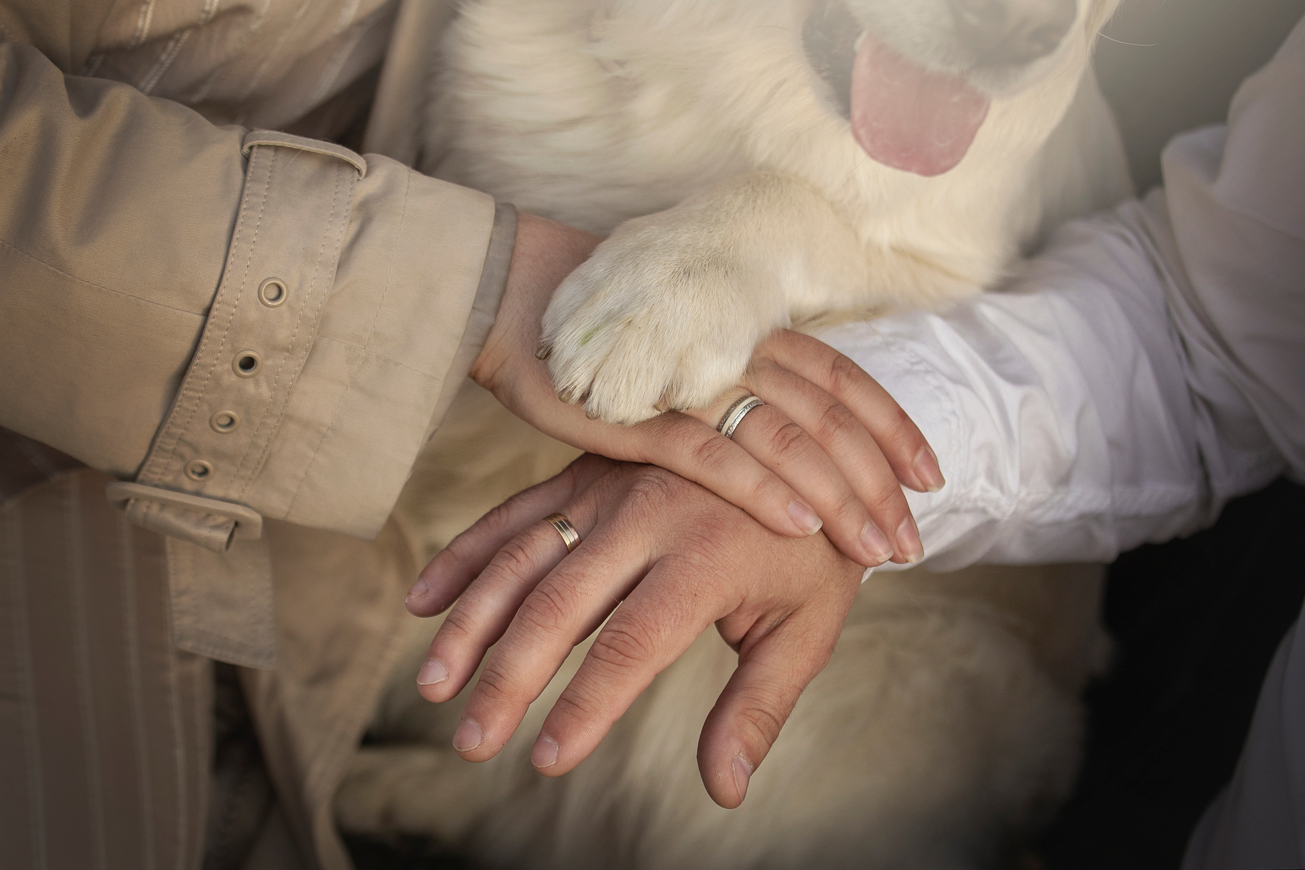 Молли и ее семья. Фотограф — Анималист | Санкт-Петербург