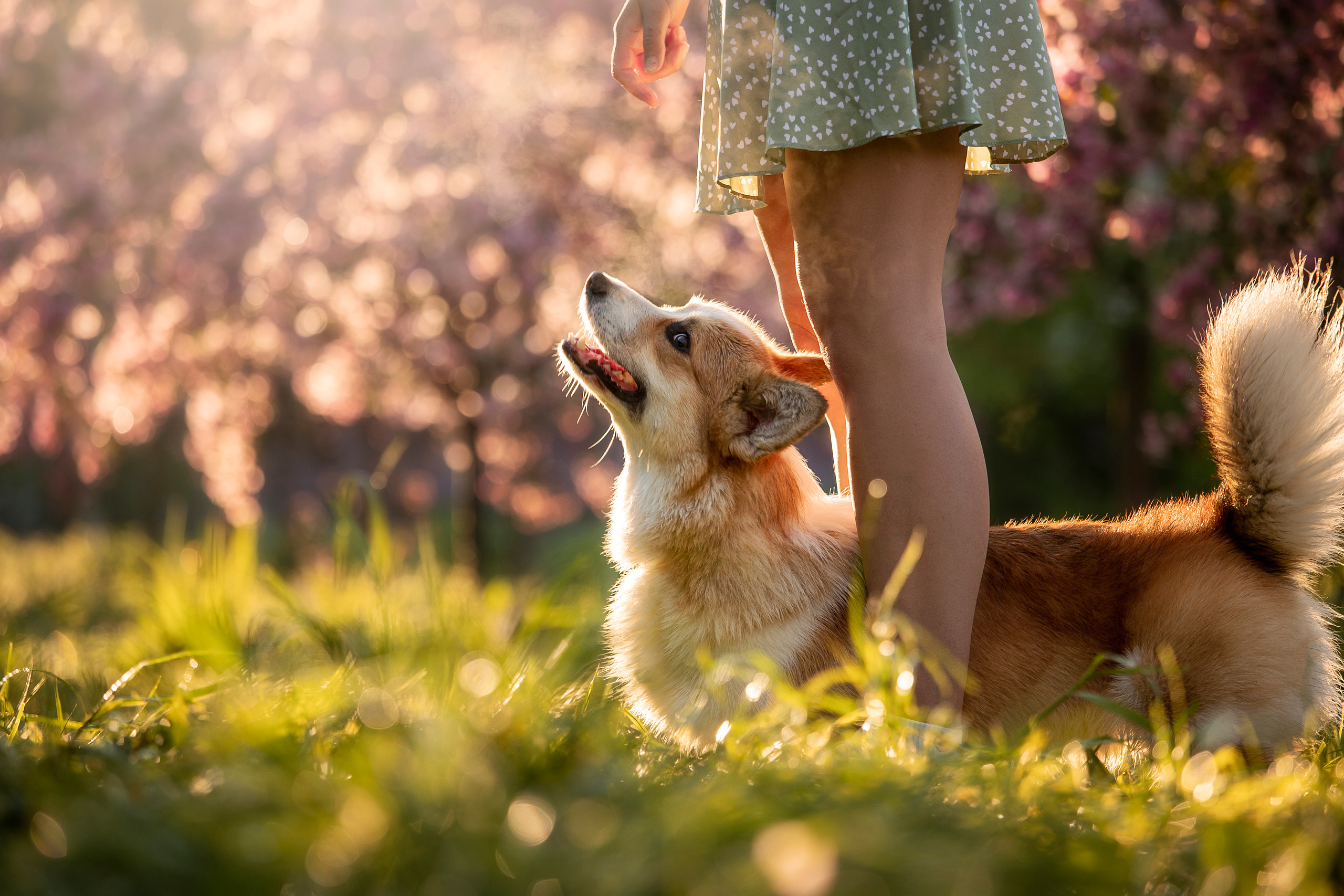 Юля и Лео. Фотограф — Анималист | Санкт-Петербург