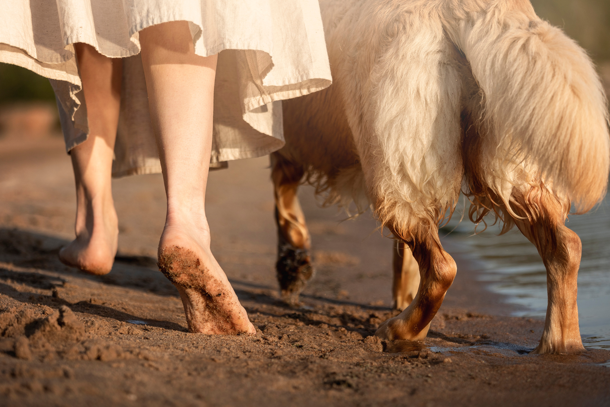 Марина и Чили. Фотограф — Анималист | Санкт-Петербург