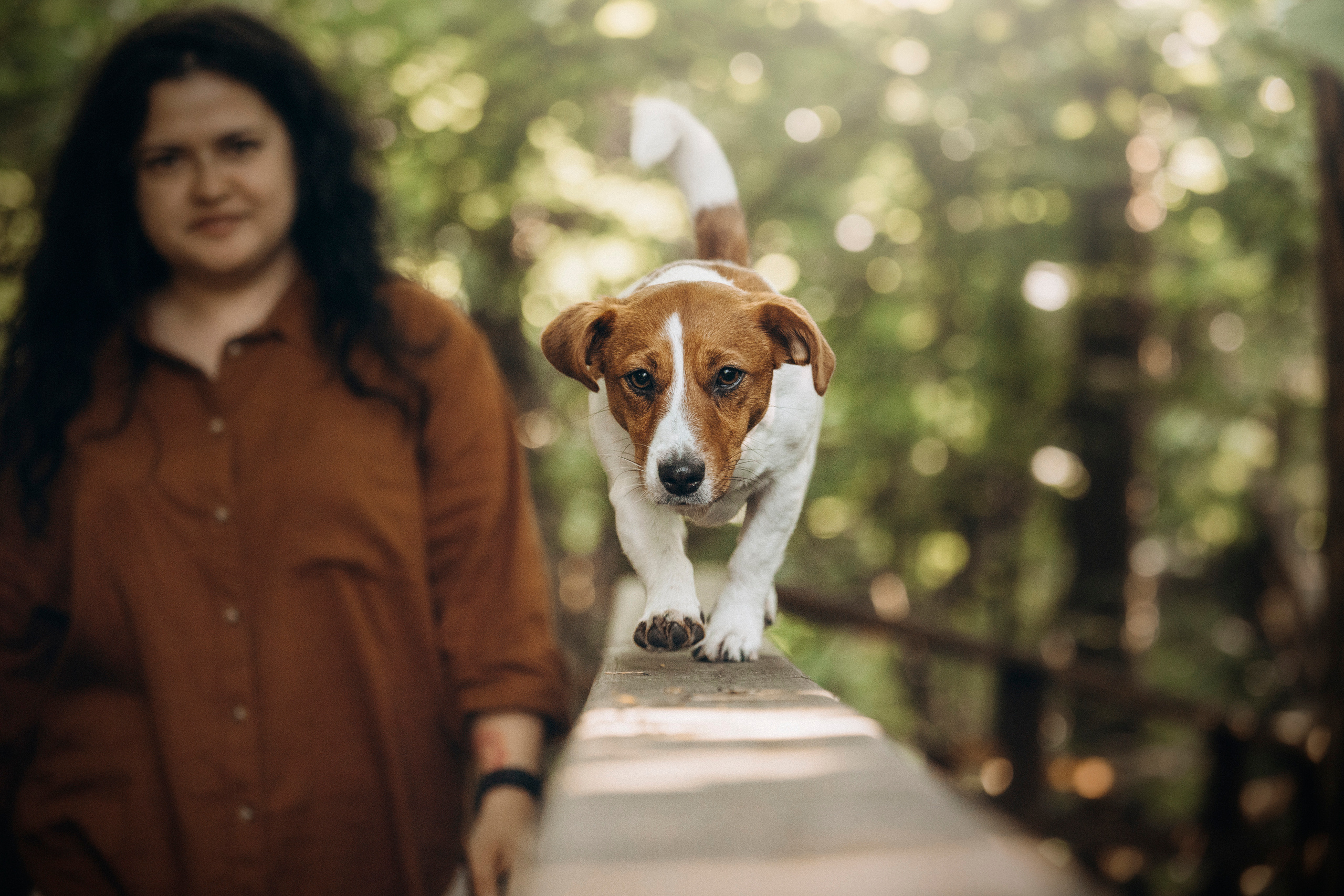 Наташа и Мерси. Фотограф — Анималист | Санкт-Петербург
