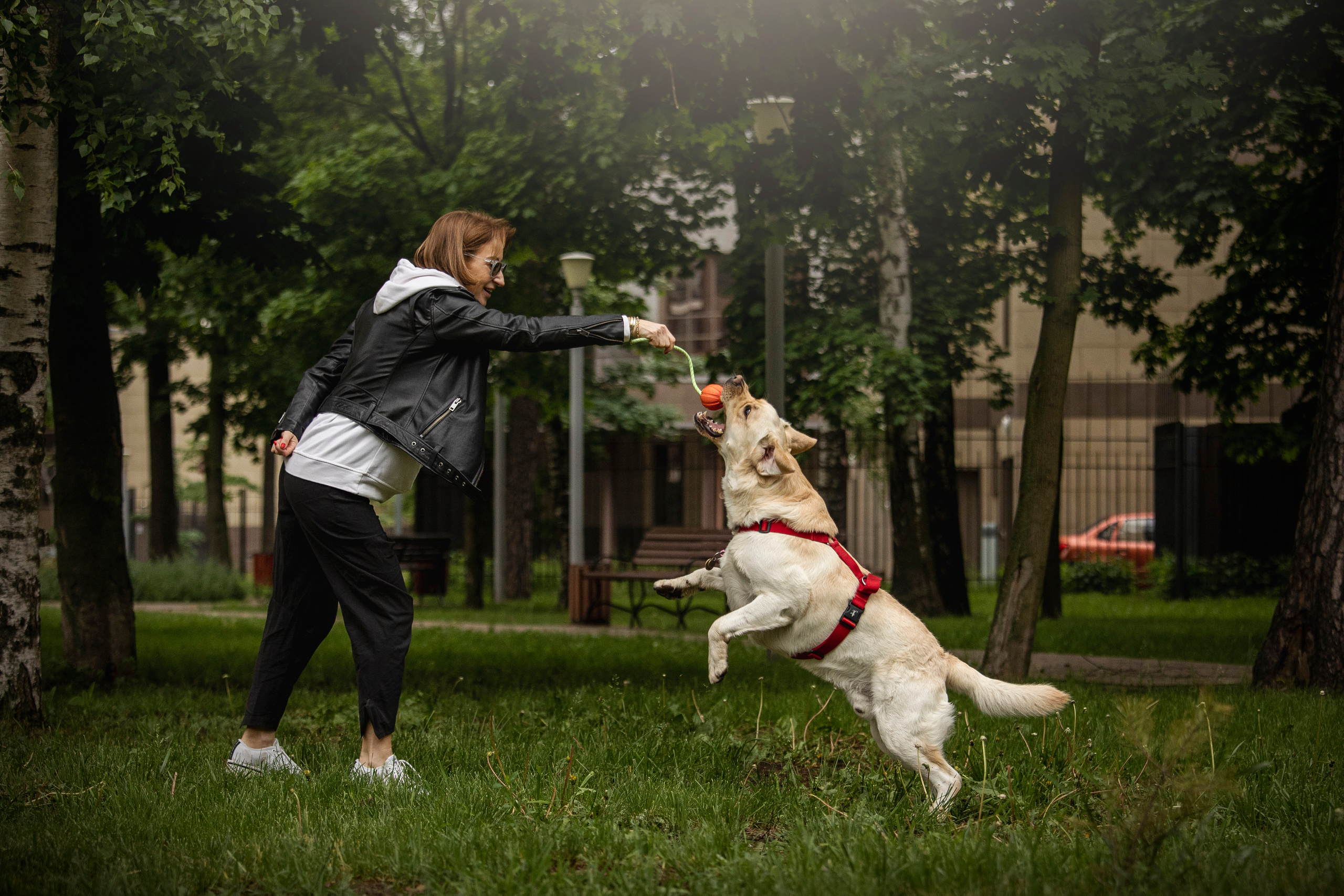 Наталья и Лорд. Фотограф — Анималист | Санкт-Петербург