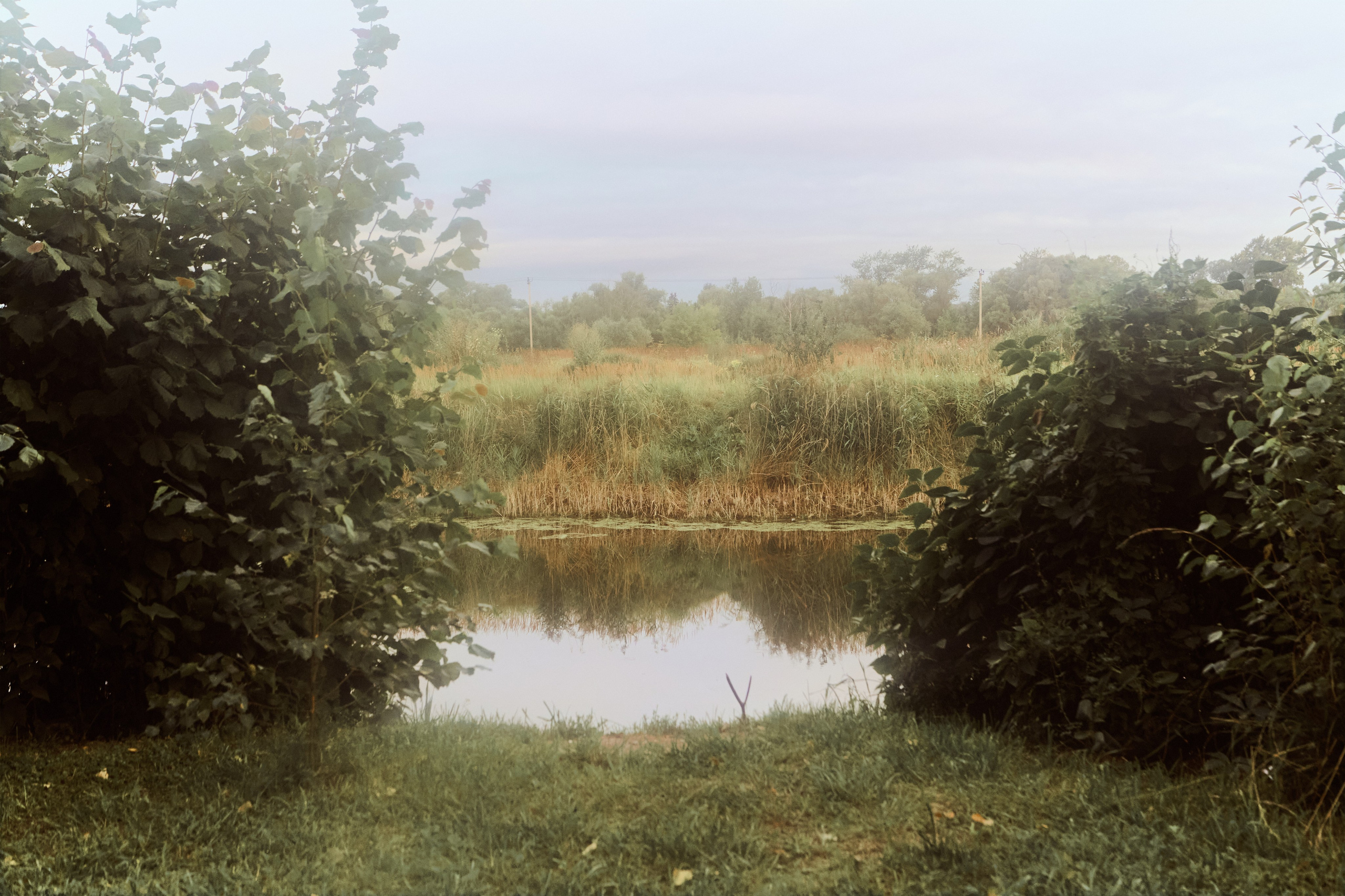 Индивидуальная фотосессия на природе. Портретный фотограф Калагина Светлана