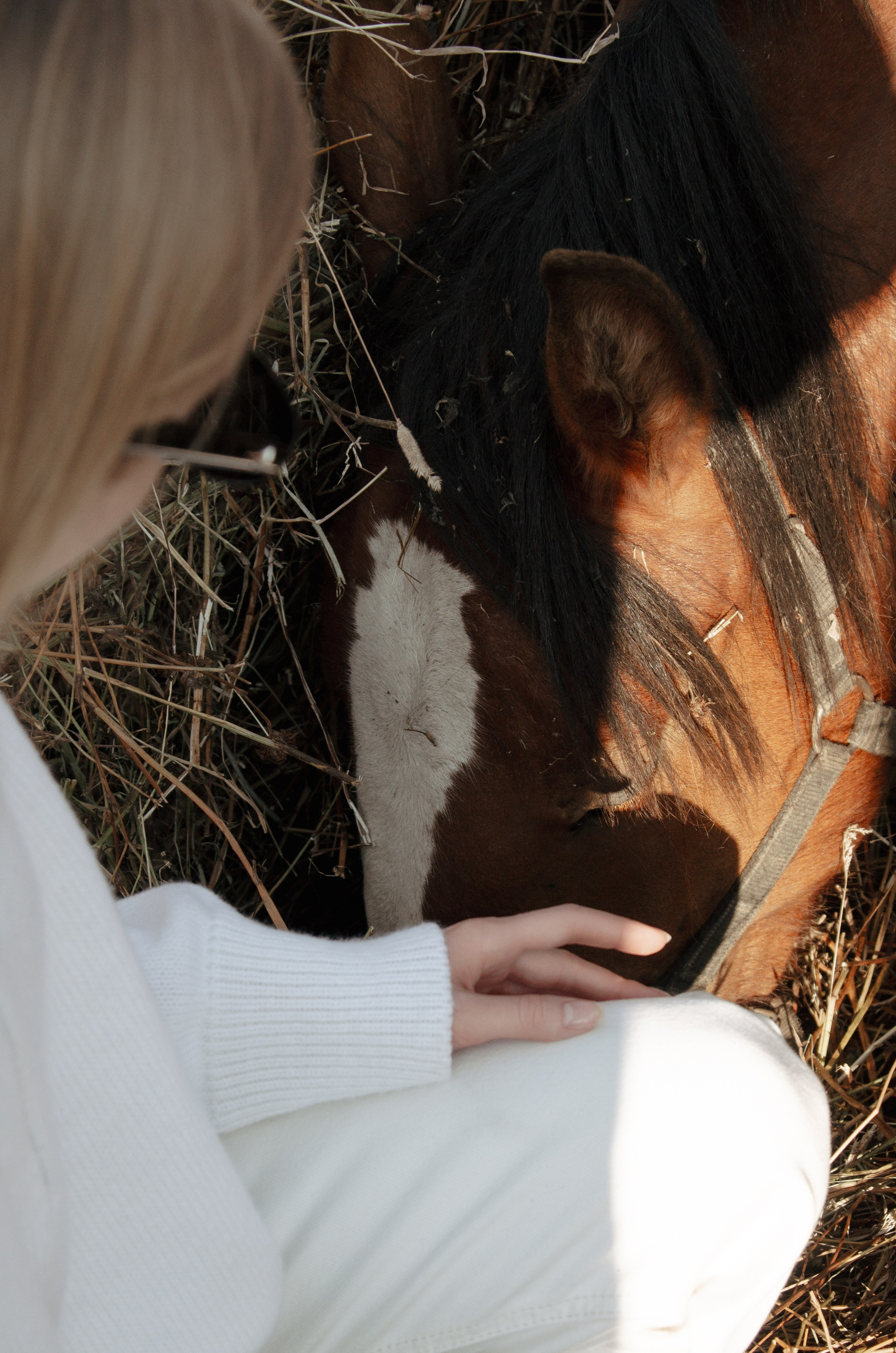 Дом-музей лошадей Хуторъ. Фотографы в Тюмени Андрей и Лидия Войвод