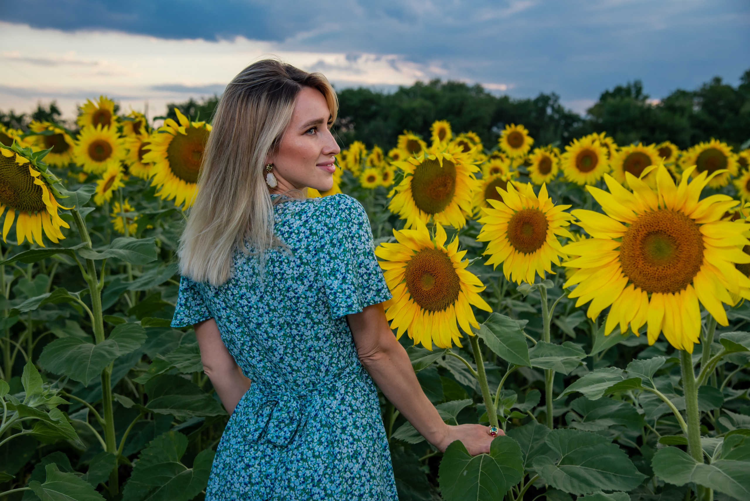 Подсолнух. Фотограф Галина Нестерова