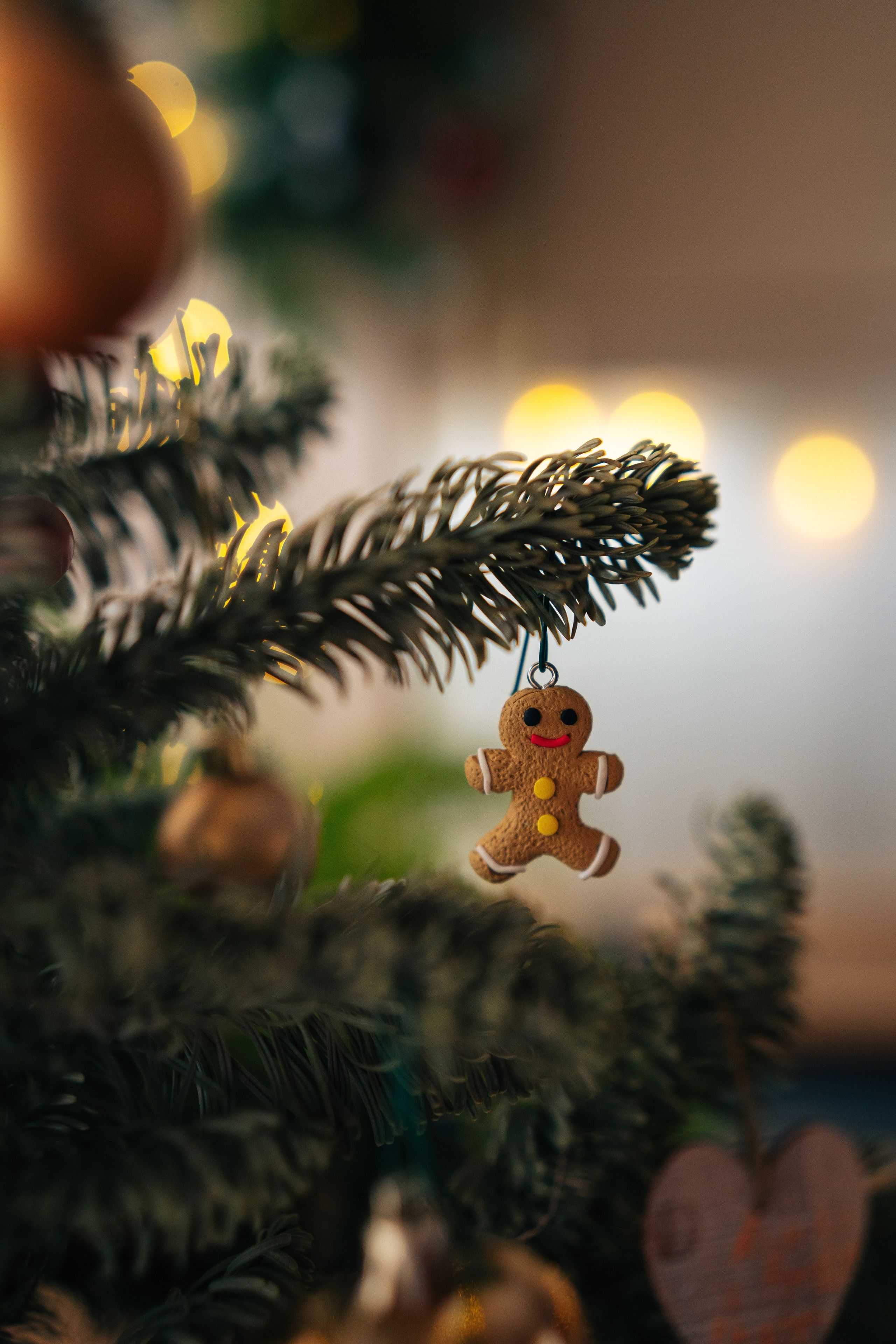 Радость. Фотограф Екатерина Канчалаба