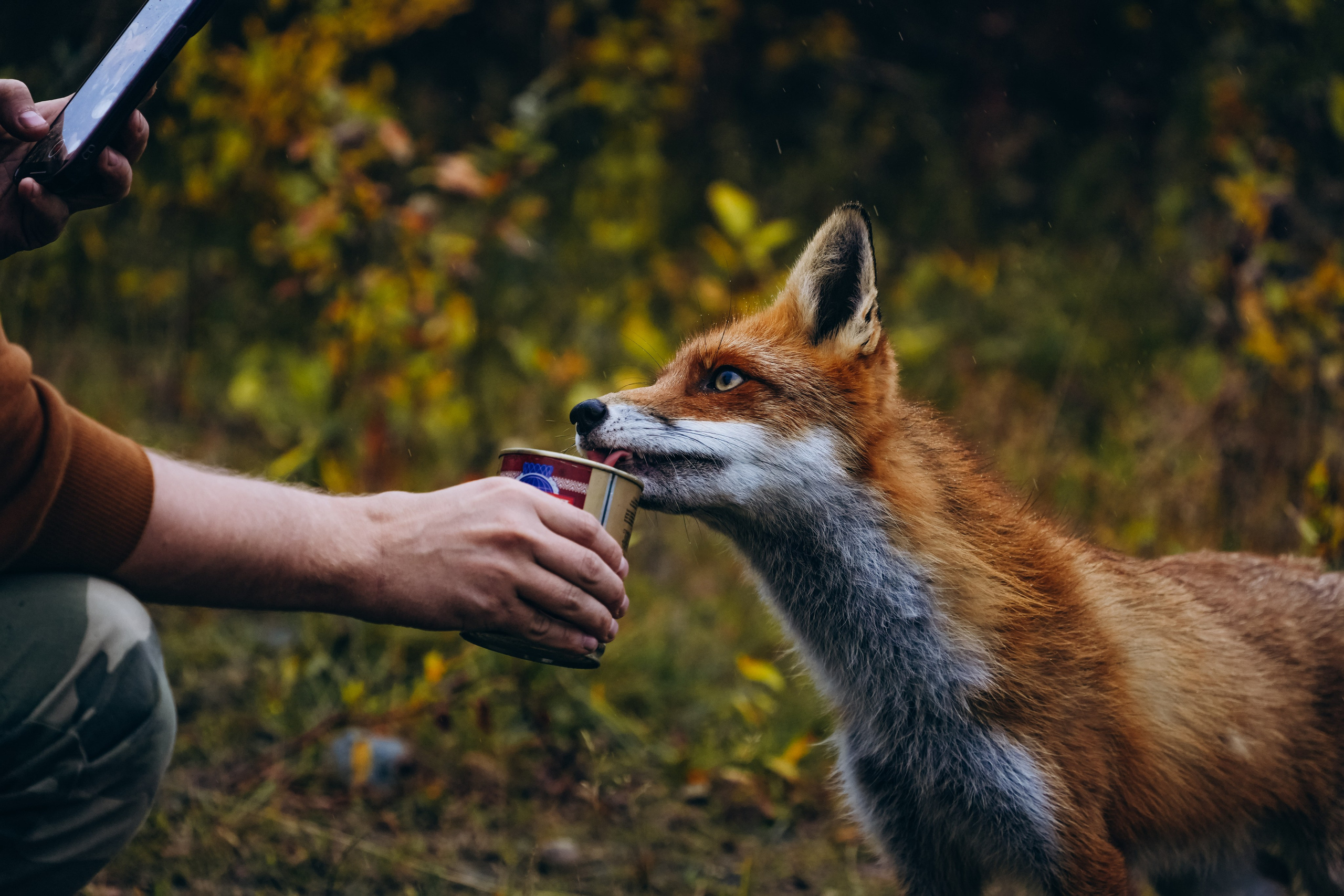 СЕВЕР. Event фотограф Степанова Александра