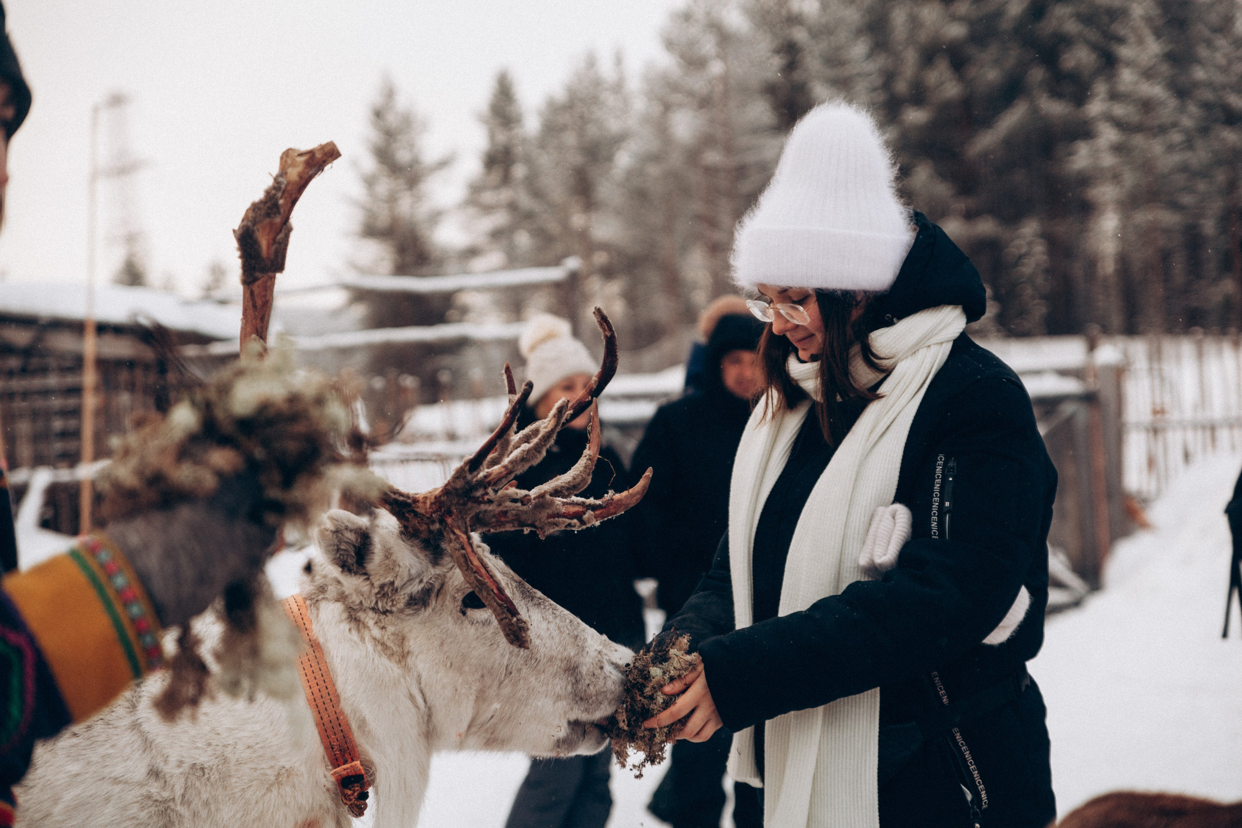 Териберка 2025. Репортажный и детский фотограф в Минске