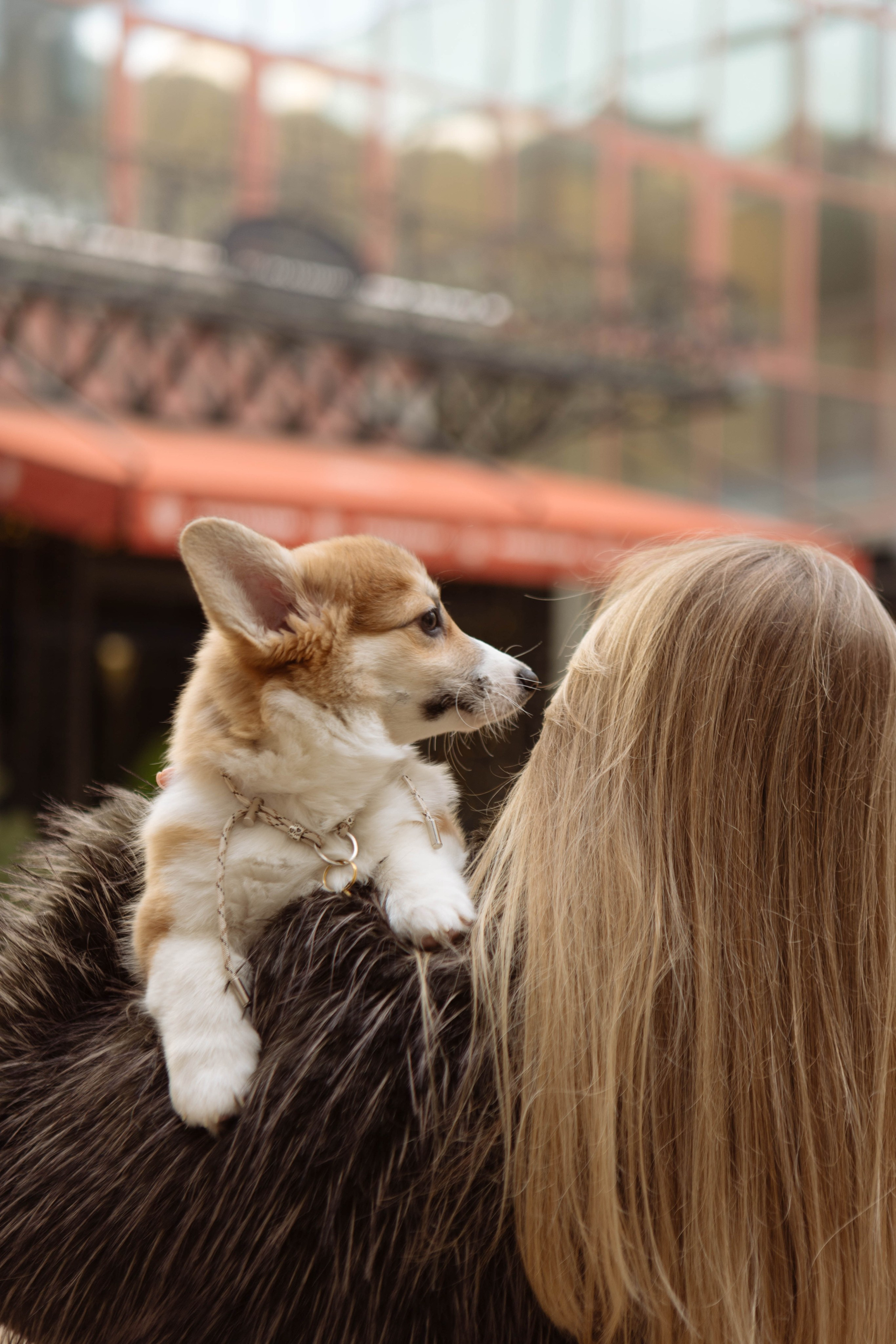 Новогодний девичник. Свадебный фотограф в Ростове-на-Дону Виктория Трунова