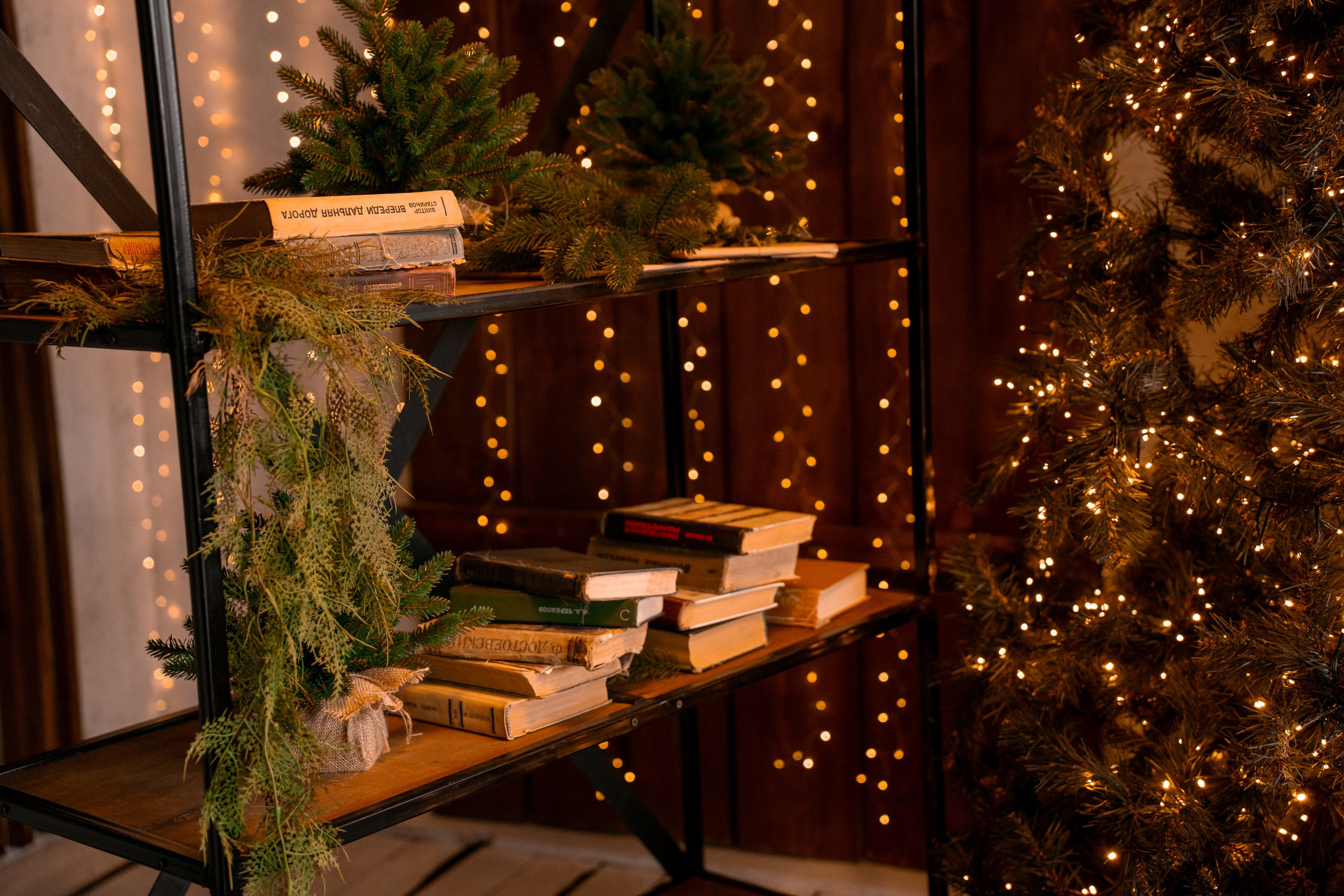 Фотостудия AlexCam | Фотостудии Саратова