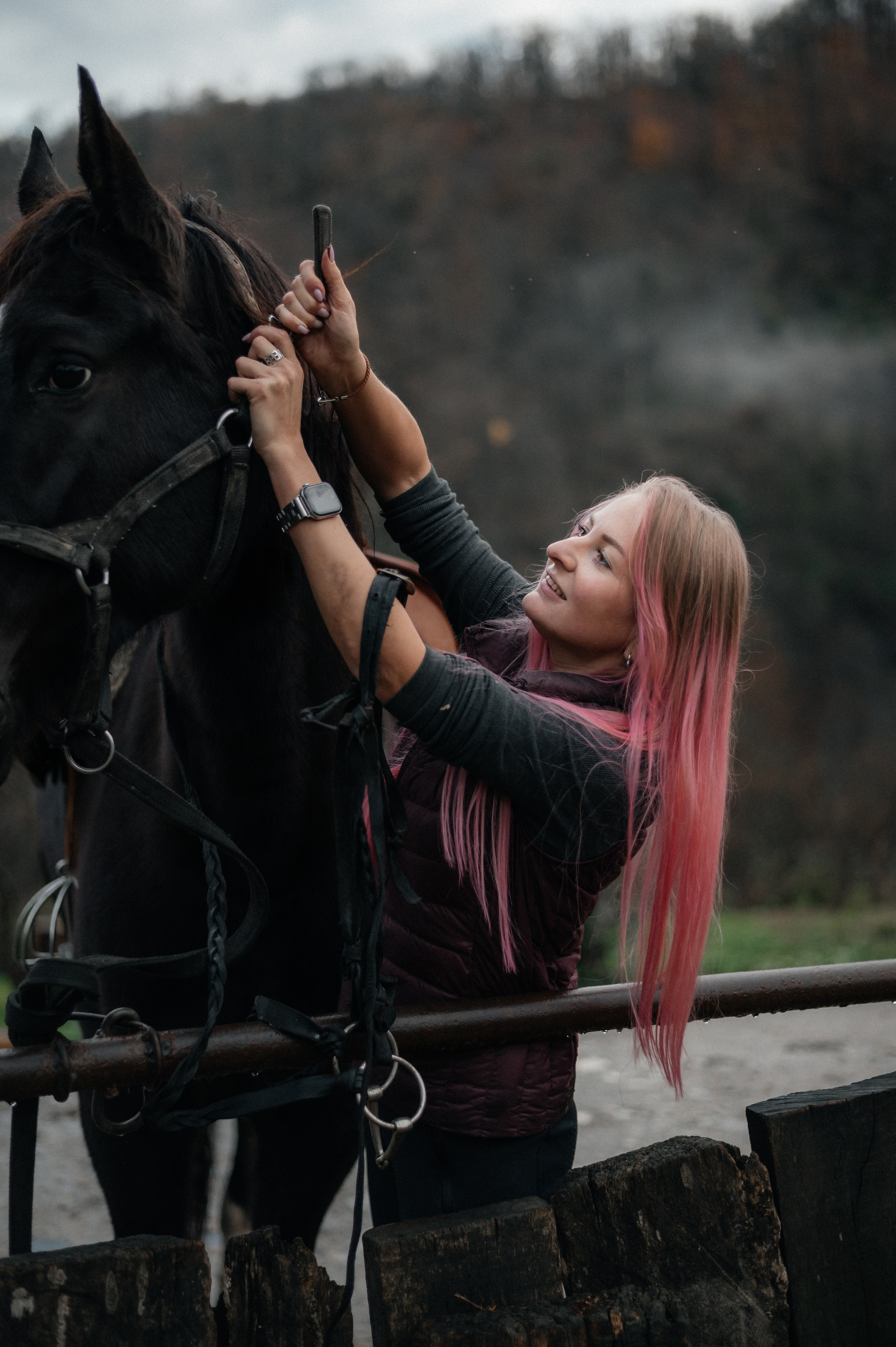 Из Швейцарии на конюшню в Сочи. Фотограф Сергей Суслов | Сочи