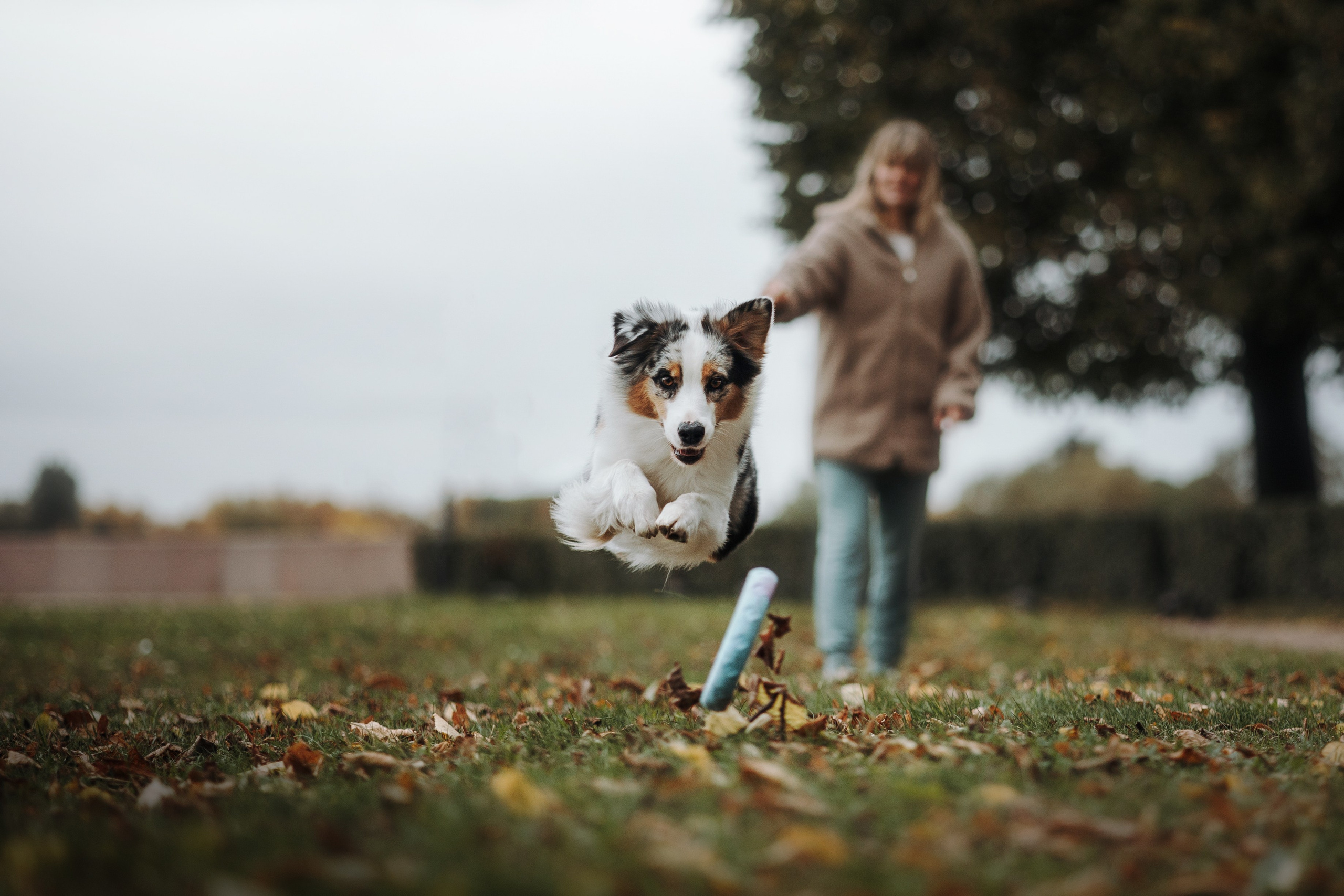 Ирина и Кайса. Фотограф — Анималист | Санкт-Петербург