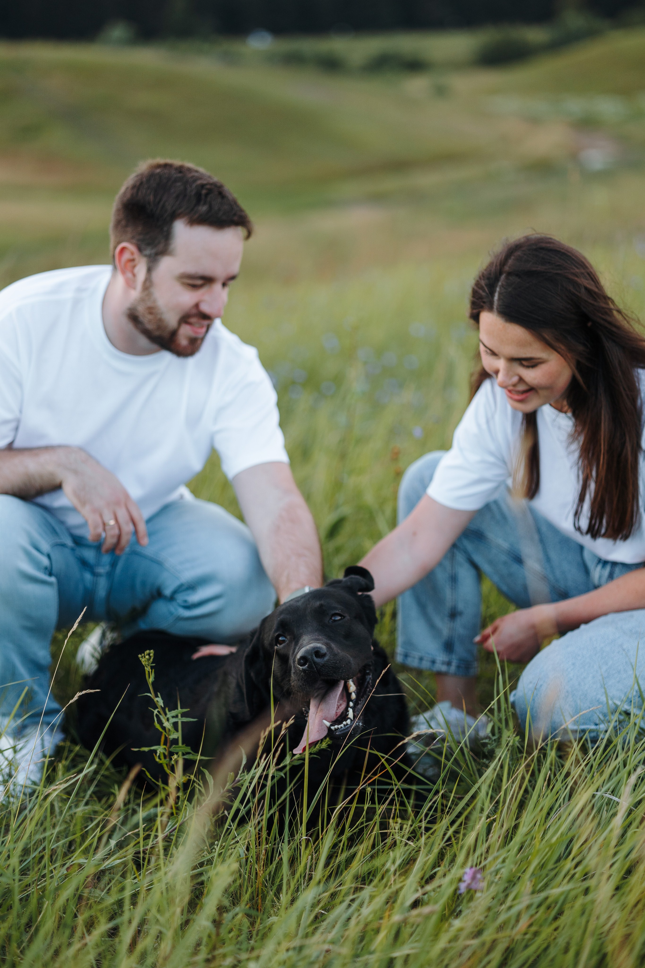 Бомбей и его семья. Фотограф — Анималист | Санкт-Петербург