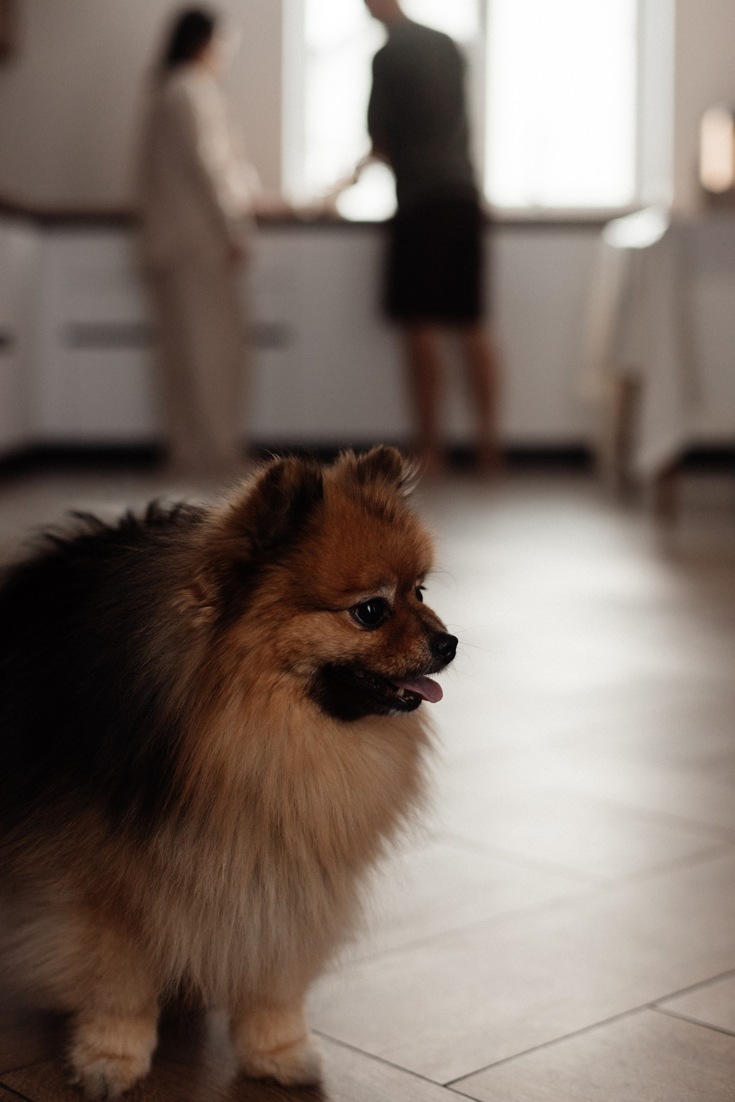 Домашняя фотосессия. Семейный фотограф в Нижнем Новгороде Куренкова Юлия