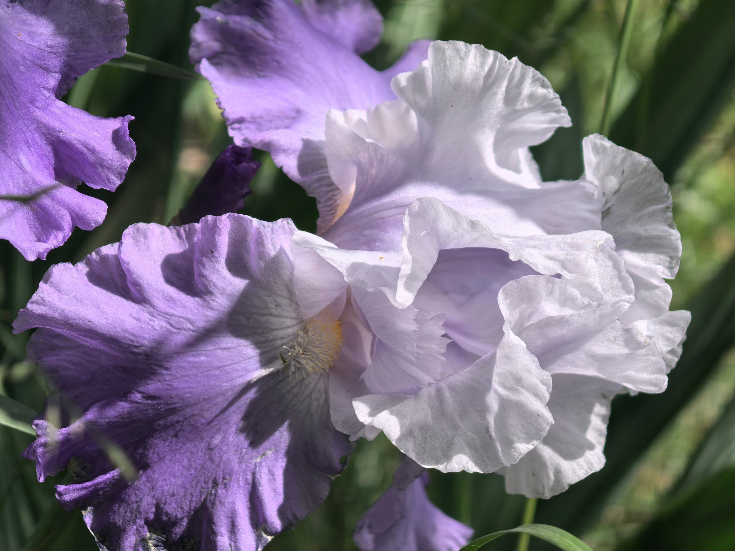 ПочтиМАКРО. Школьные выпускные альбомы в Москве Марина Николаева