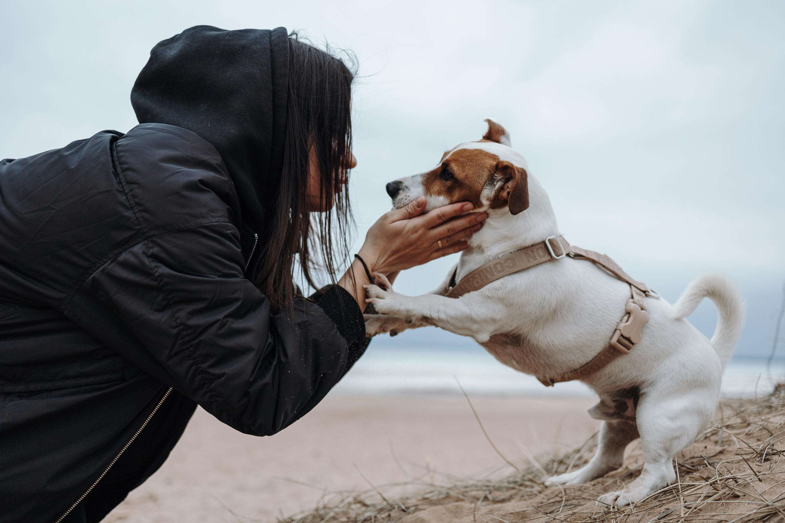 Саша и Джеки. Фотограф — Анималист | Санкт-Петербург