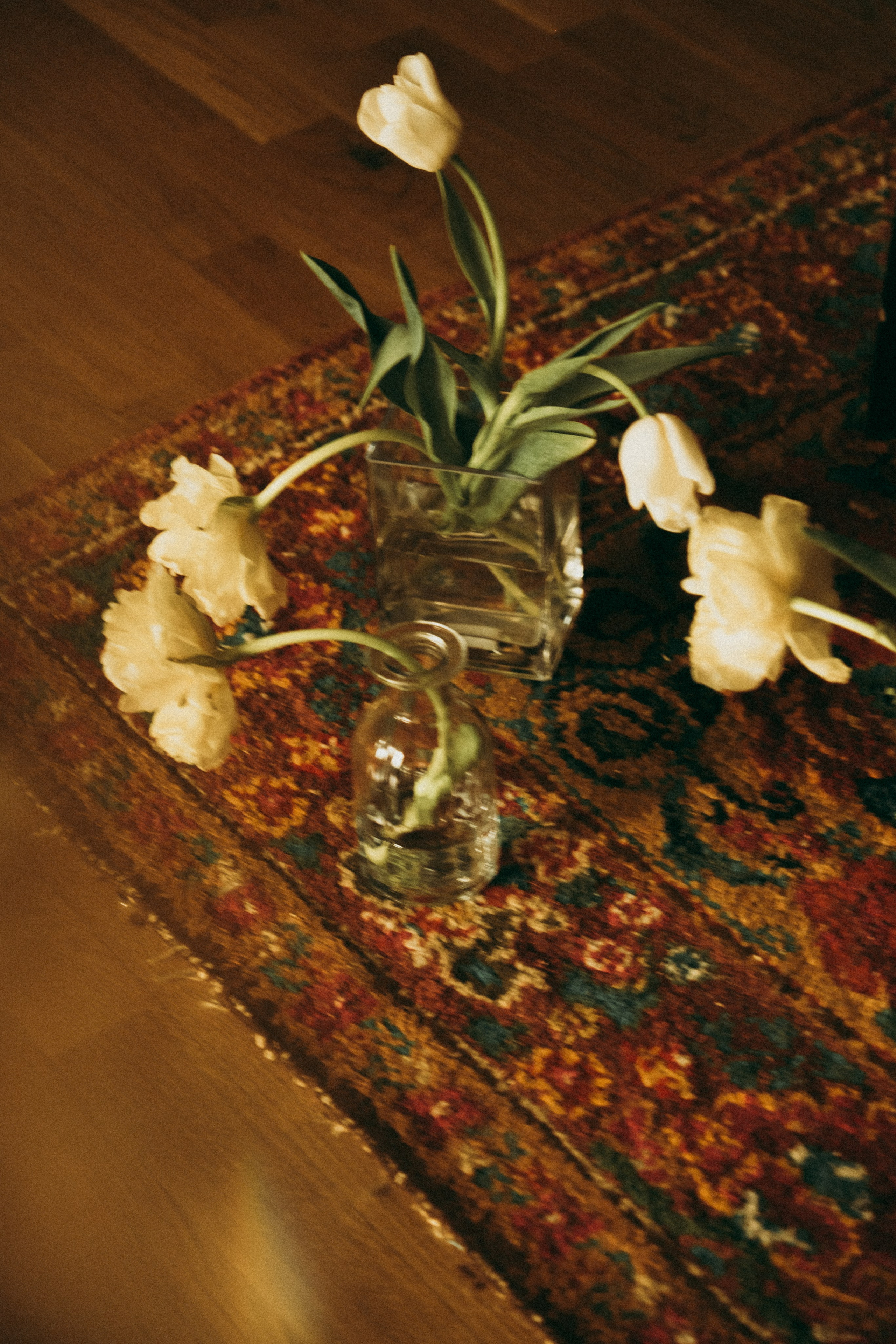 Kristina. Фотограф Астафьева Мария