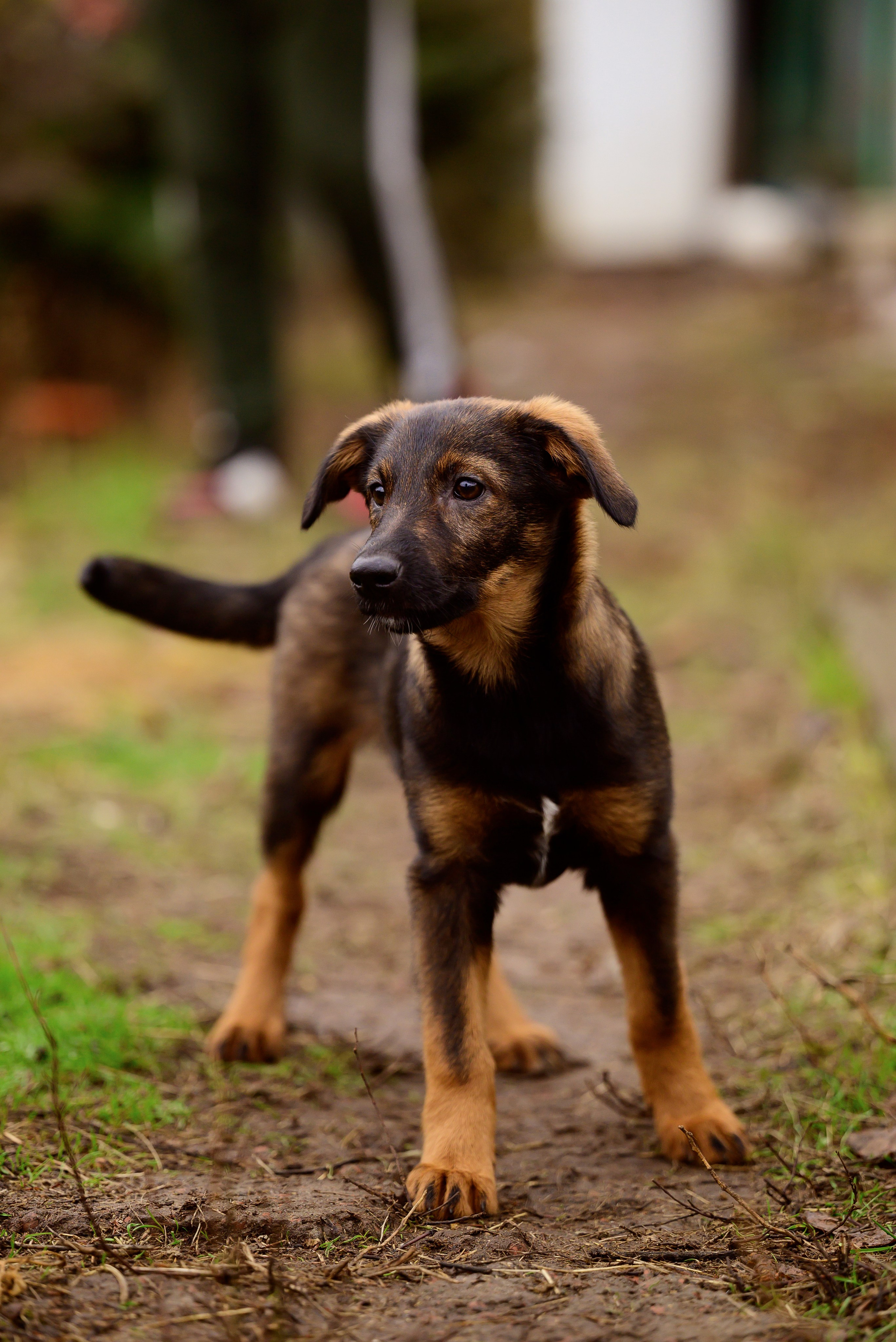 Круассанчики. Мила Астахова